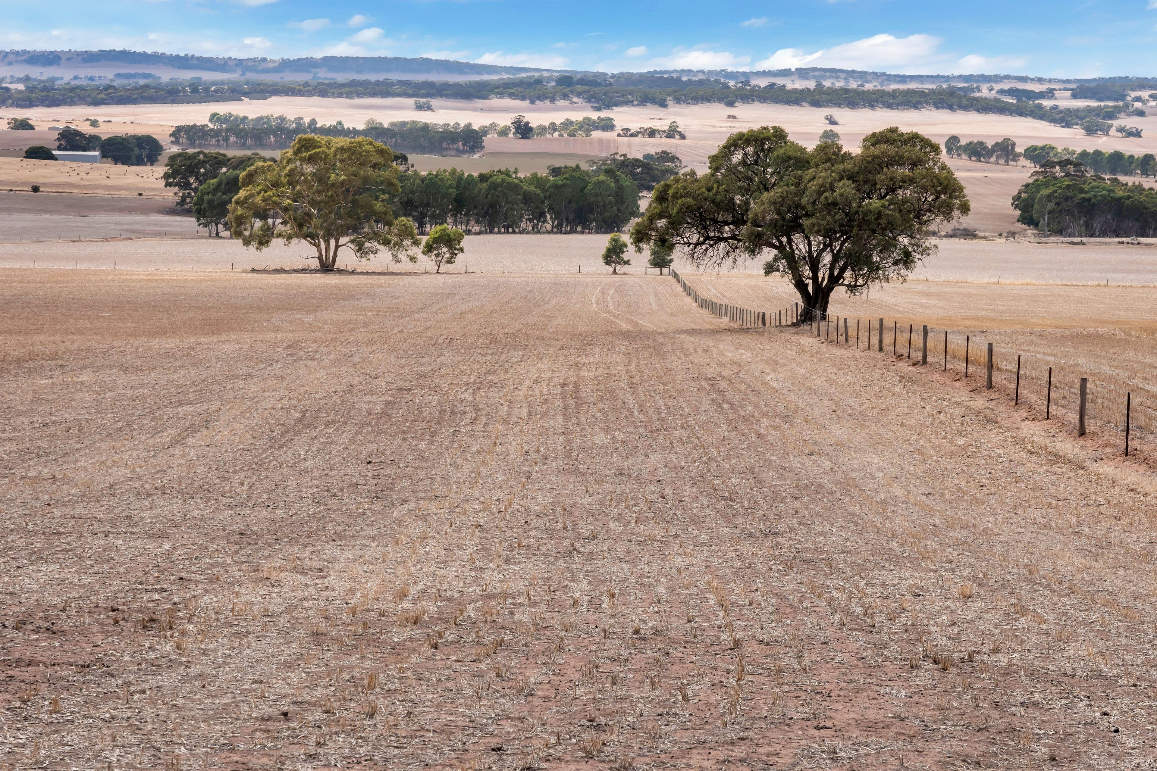 "Vingo's" Lot 57 Powerline South Road, Marrabel SA 5413, Marrabel - Thumbnail 4