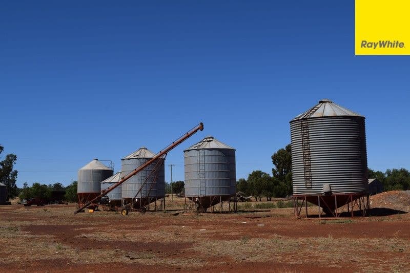 The Ranch Grassmere Road, CONDOBOLIN NSW 2877, Condobolin - Thumbnail 5