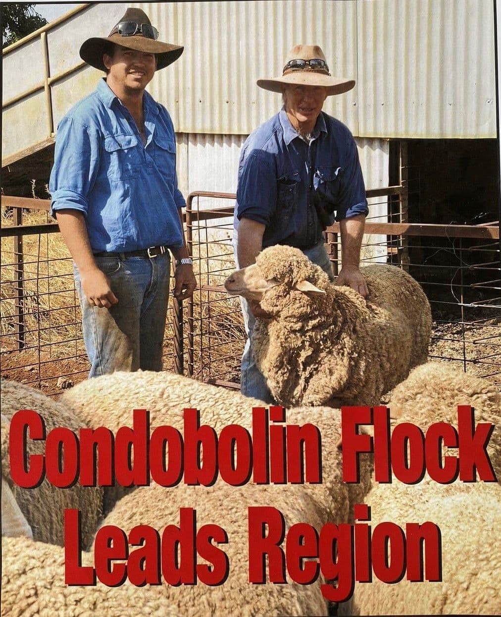 Moonbah 460 Moonbah Lane, Condobolin NSW 2877, Condobolin - Thumbnail 4