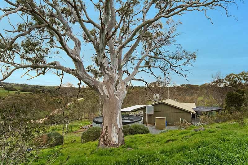 Lot 571 Vale Road, Wistow SA 5251, Wistow - Image 1