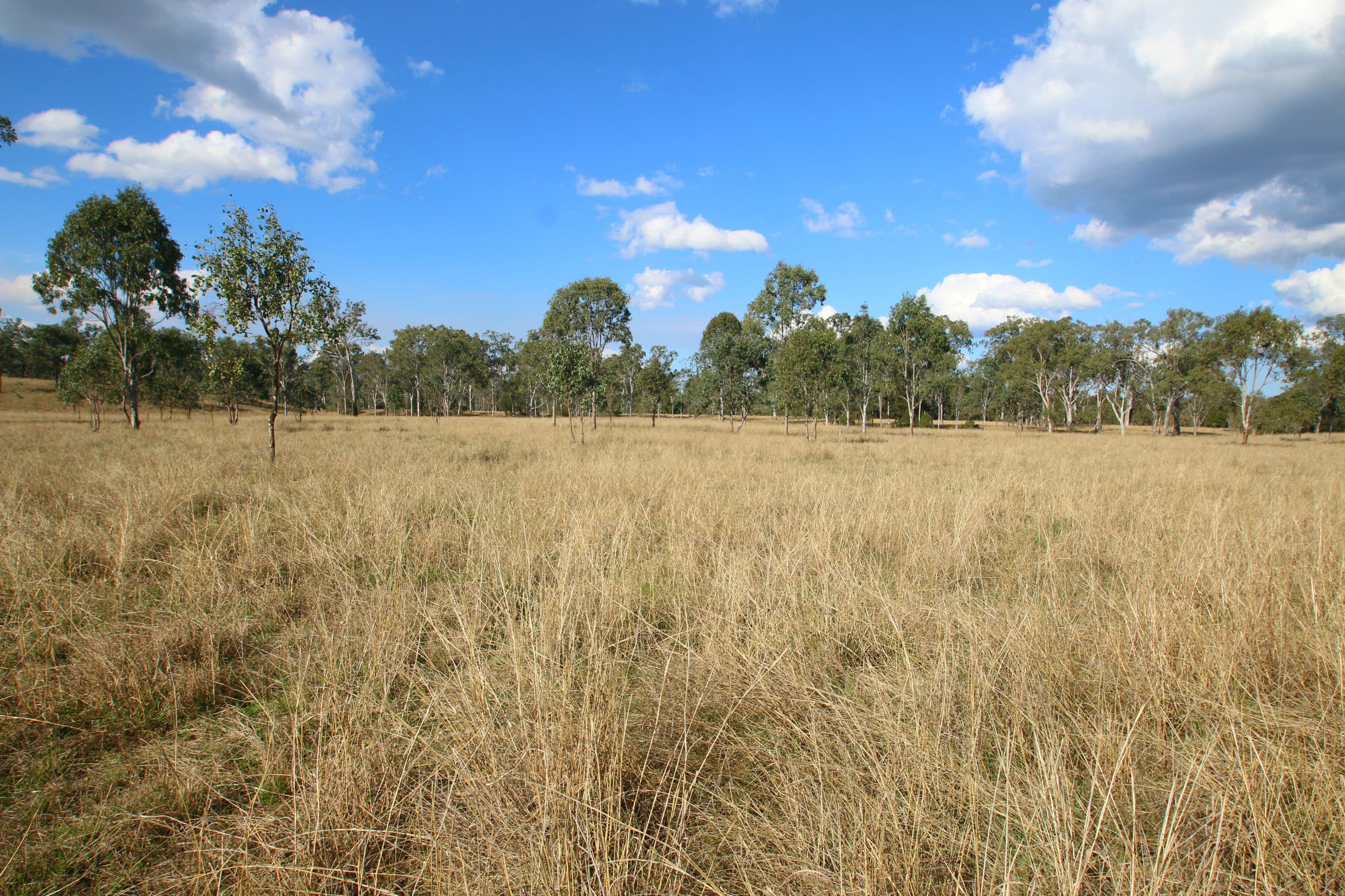 Monto QLD 4630, Monto - Image 1