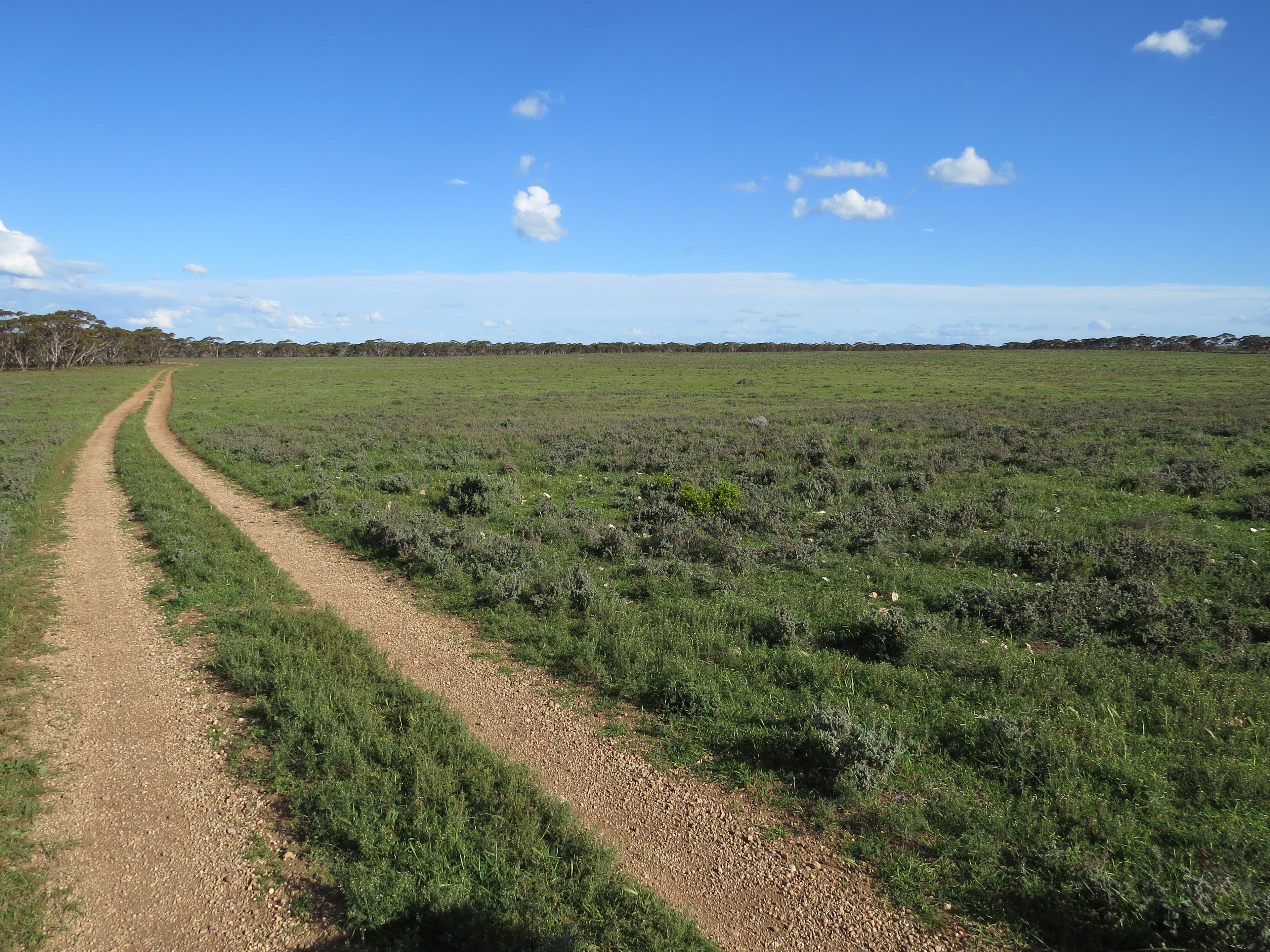 "Johns" Stock Route Road, Sutherlands SA 5374, Sutherlands - Thumbnail 7