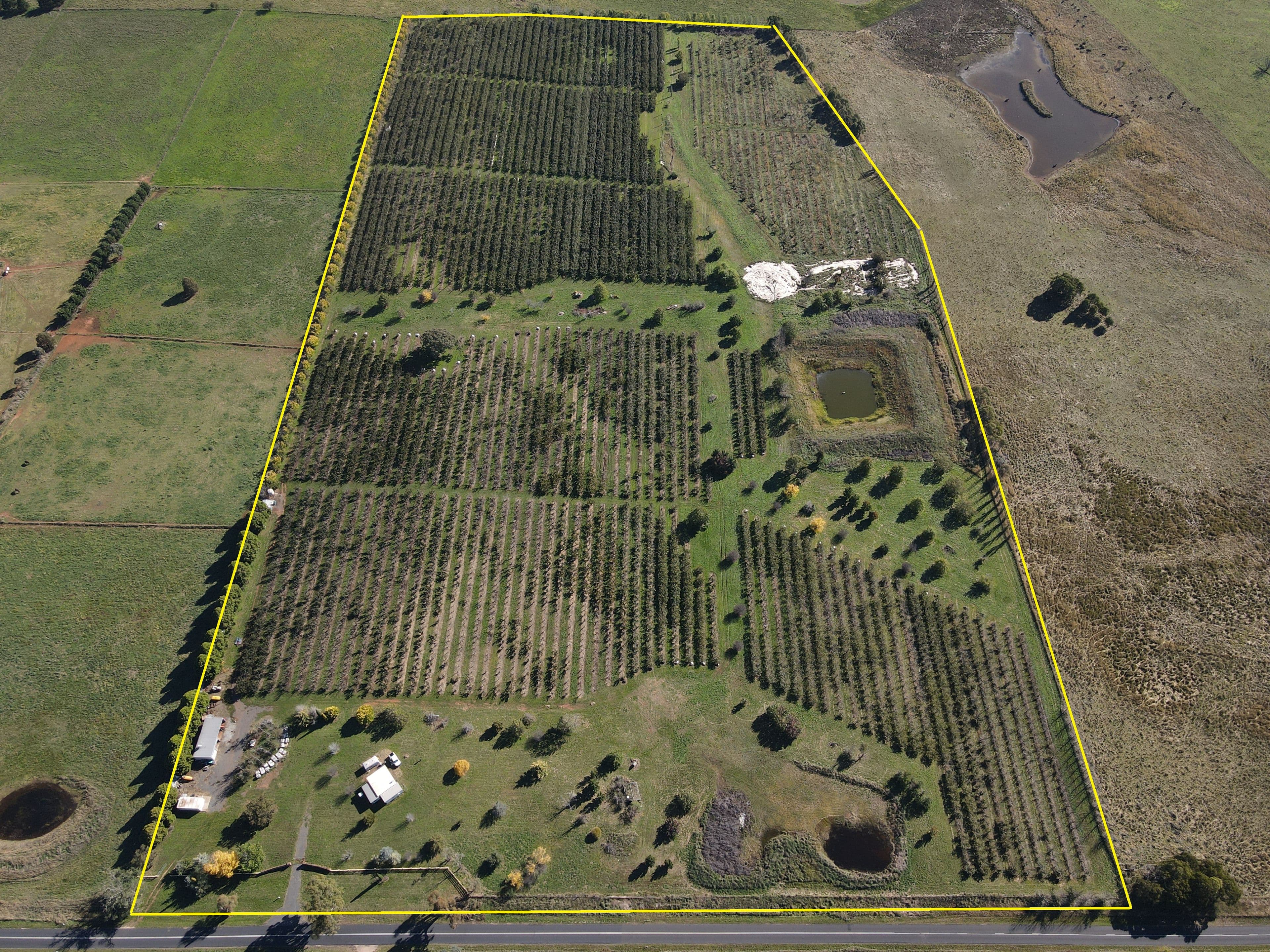 864 Vittoria Road, Guyong NSW 2798, Guyong - Thumbnail 3