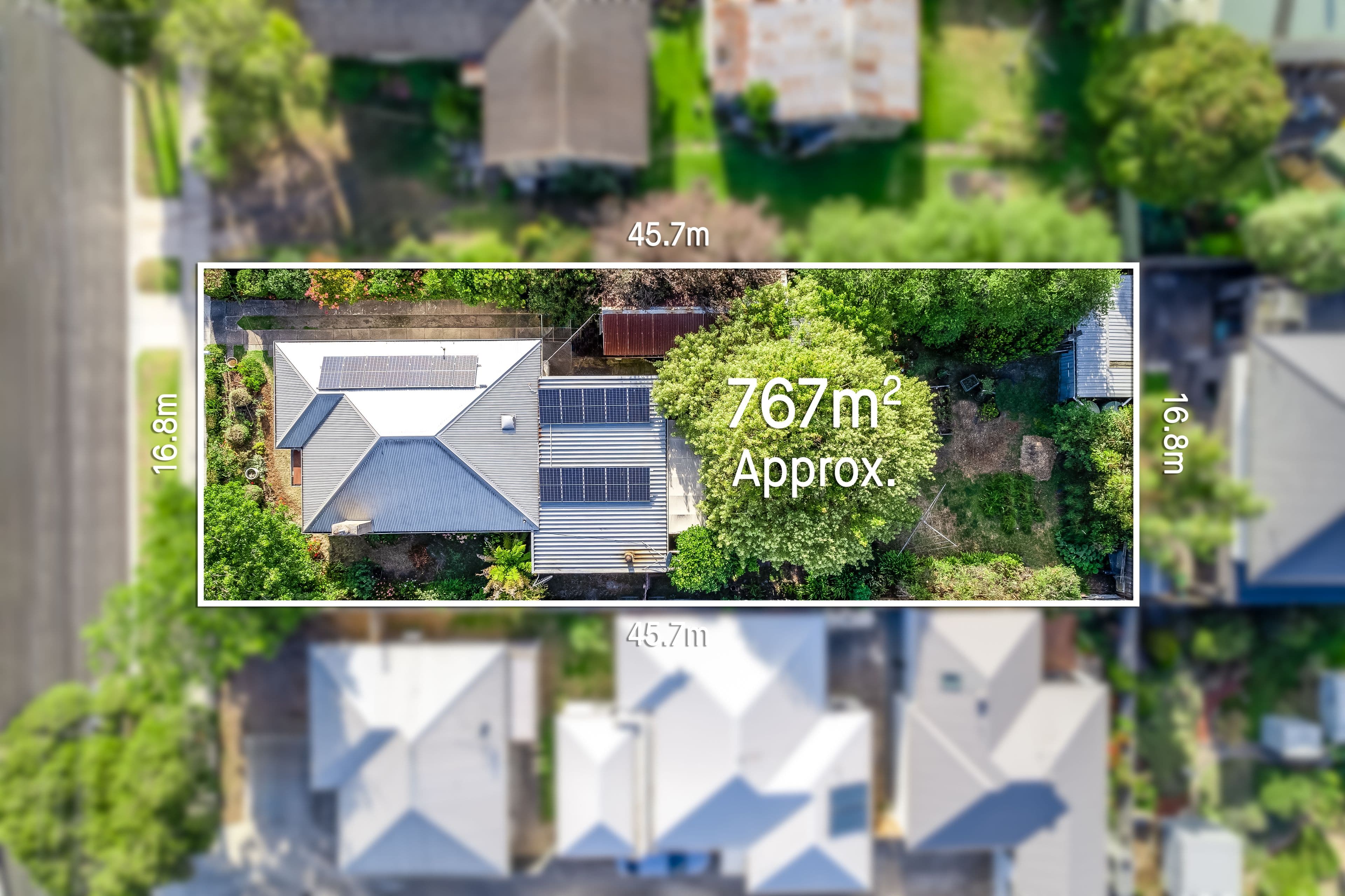 14 Patern Street, Highton VIC 3216, Highton - Image 1