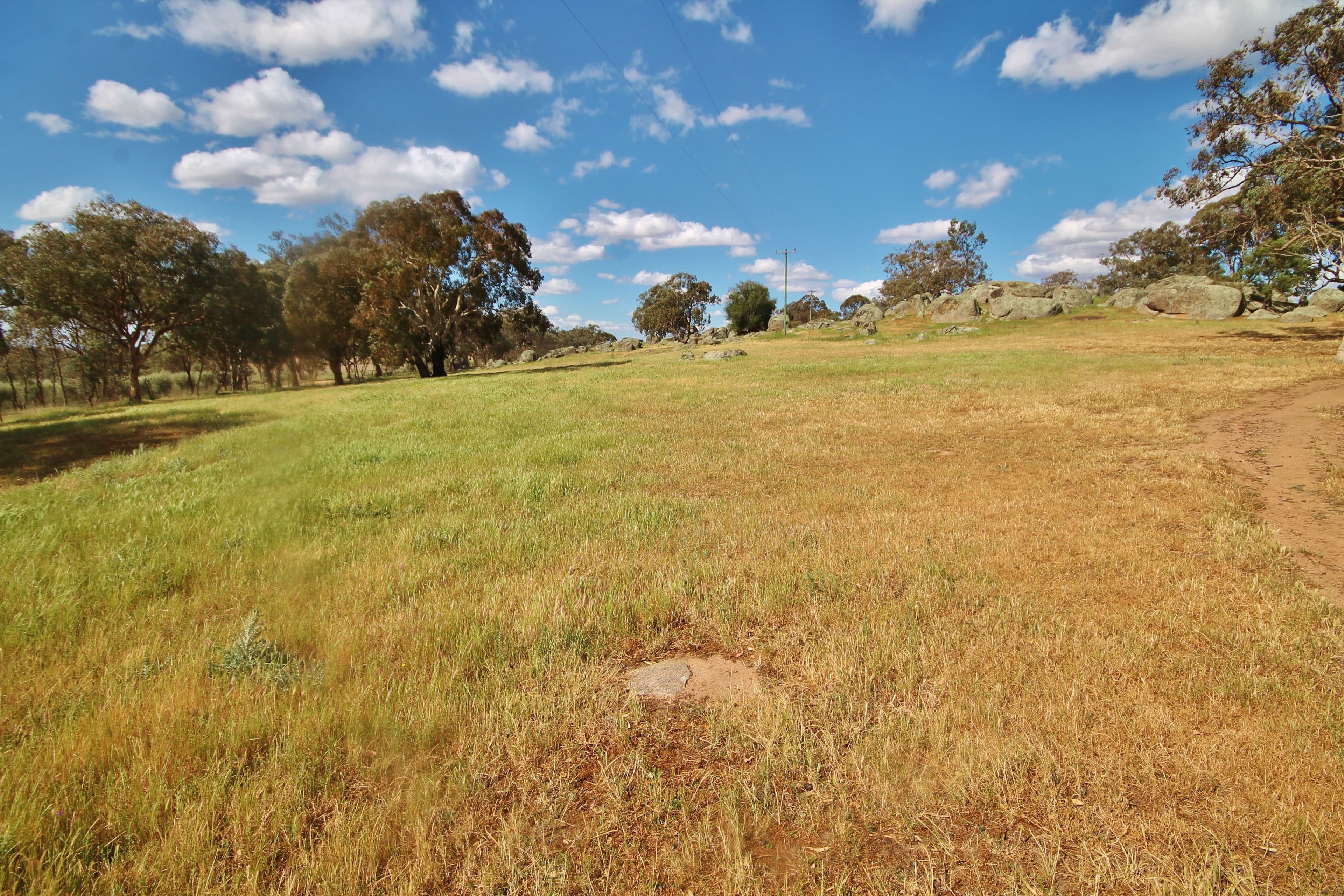 495 Spring Creek Road, Young NSW 2594, Young - Thumbnail 5