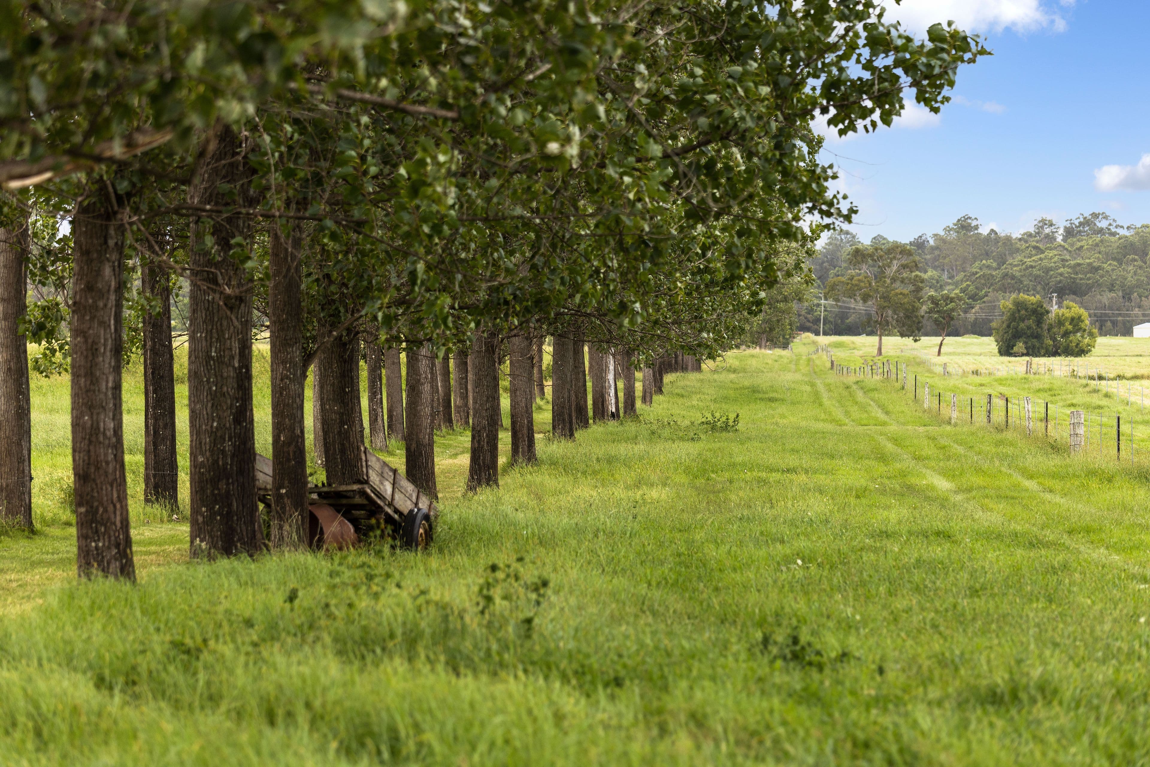 3 Tarrumbi Way, Taree NSW 2430, Taree - Thumbnail 7