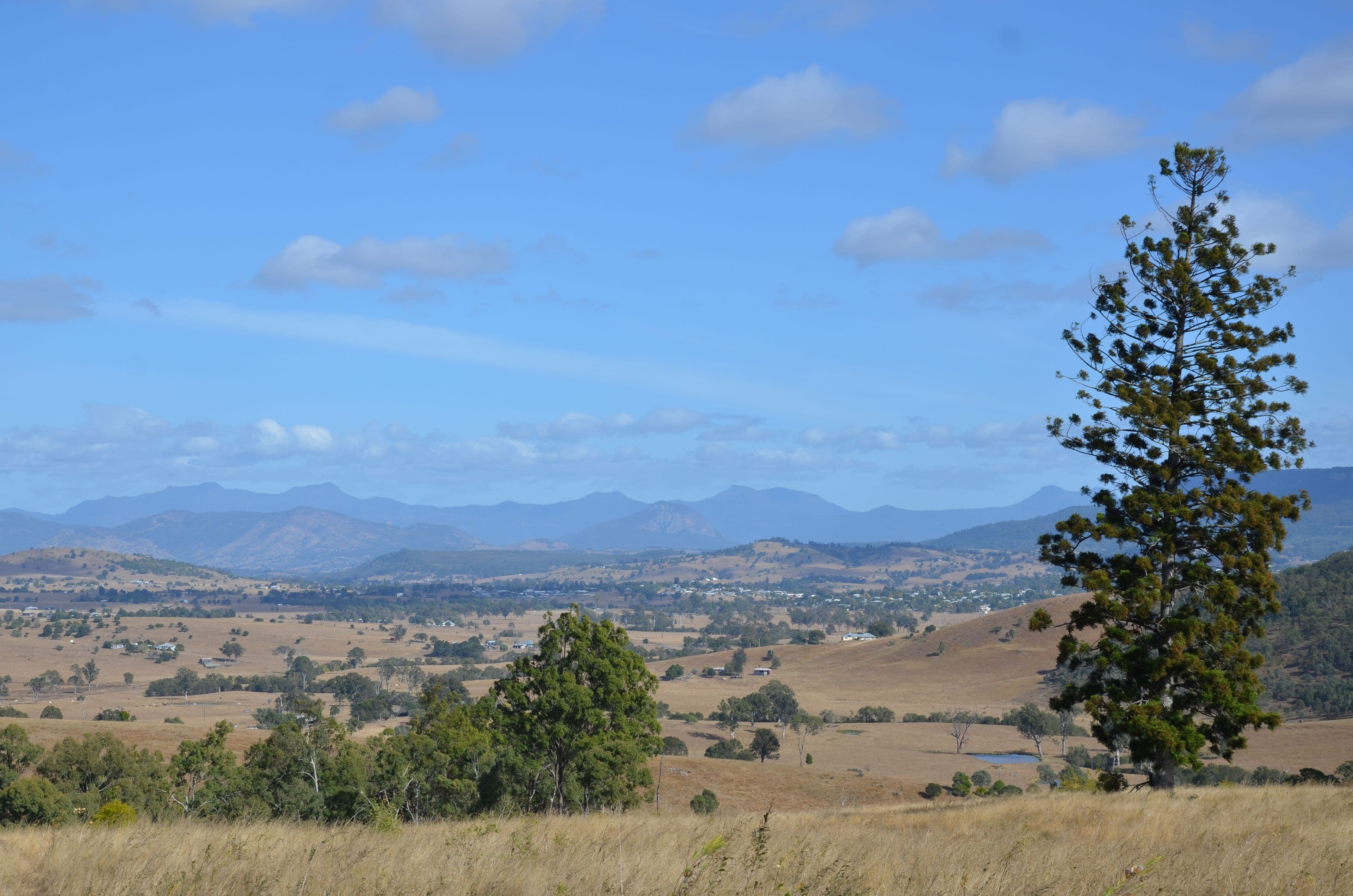 0 Dunn Road, Allandale QLD 4310, Allandale - Thumbnail 7