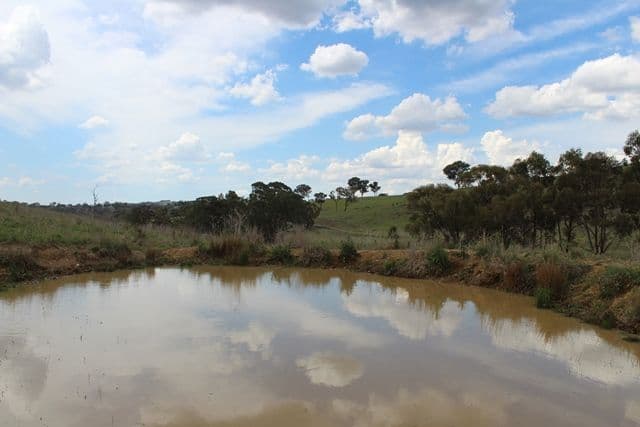 2521 Beaconsfield Road, Wisemans Creek NSW 2795, Wisemans Creek - Thumbnail 6