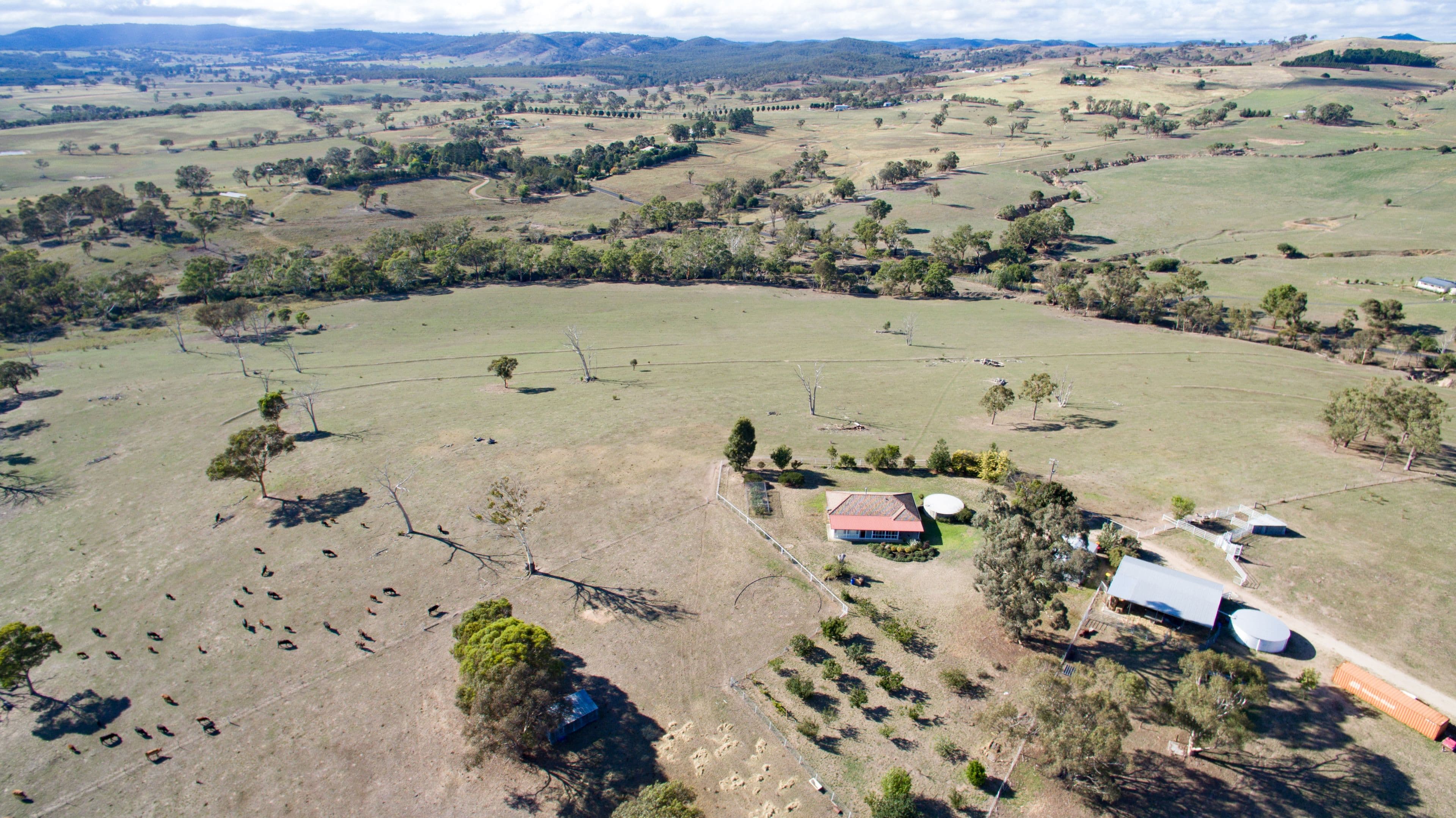 370 Bloom Hill Road, O'Connell NSW 2795, O'Connell - Thumbnail 3