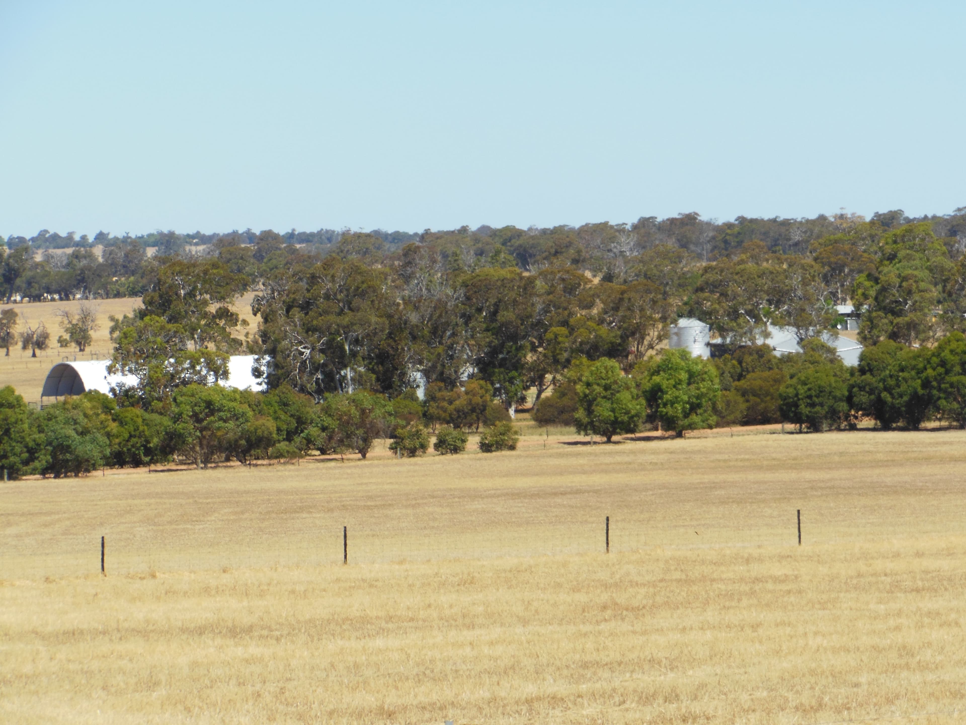 Ronneby Park, 670 Youngs Road, Beaufort River WA 6394, Beaufort River - Thumbnail 2