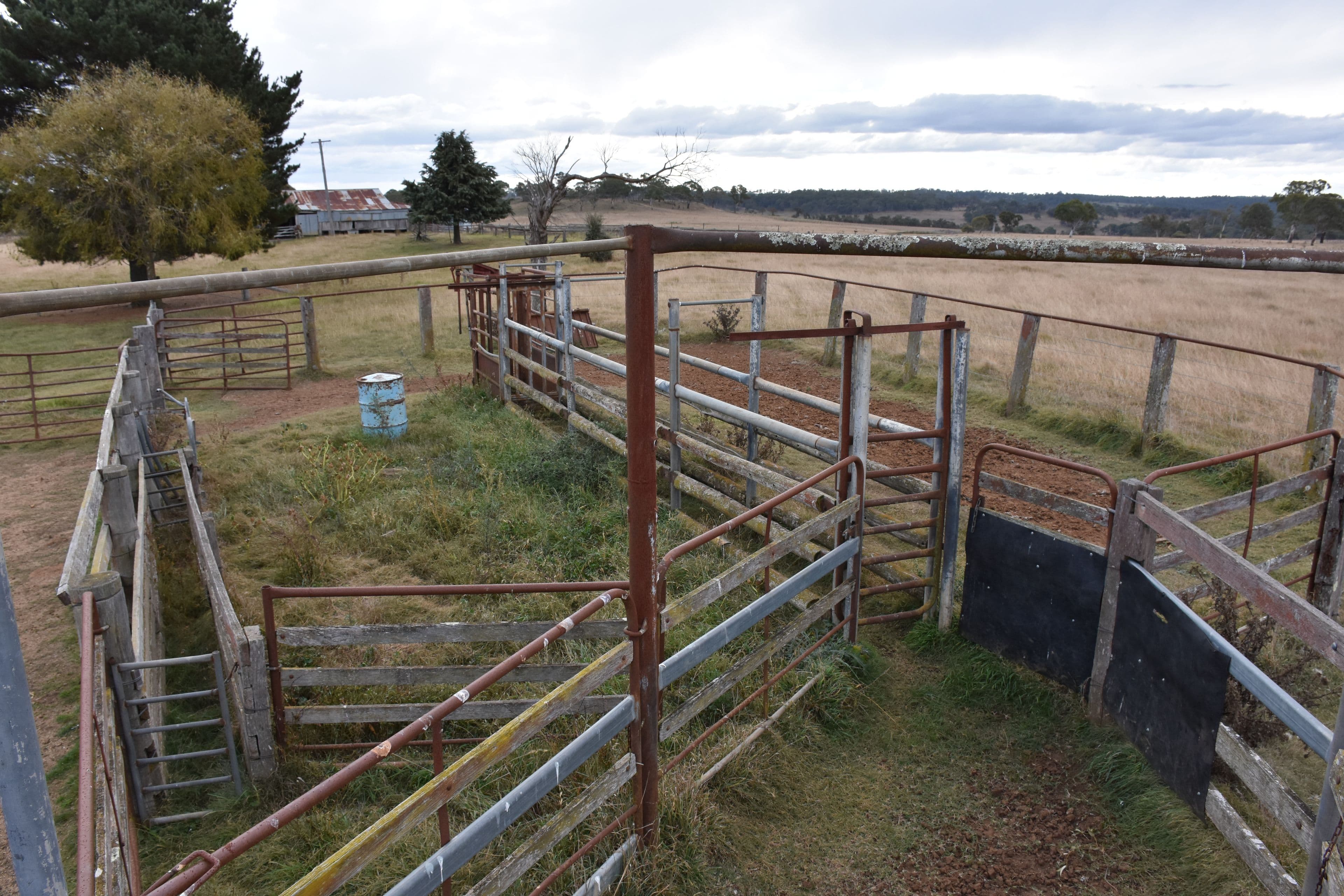 1325 Red Range Road, Glen Innes NSW 2370, Glen Innes - Thumbnail 8