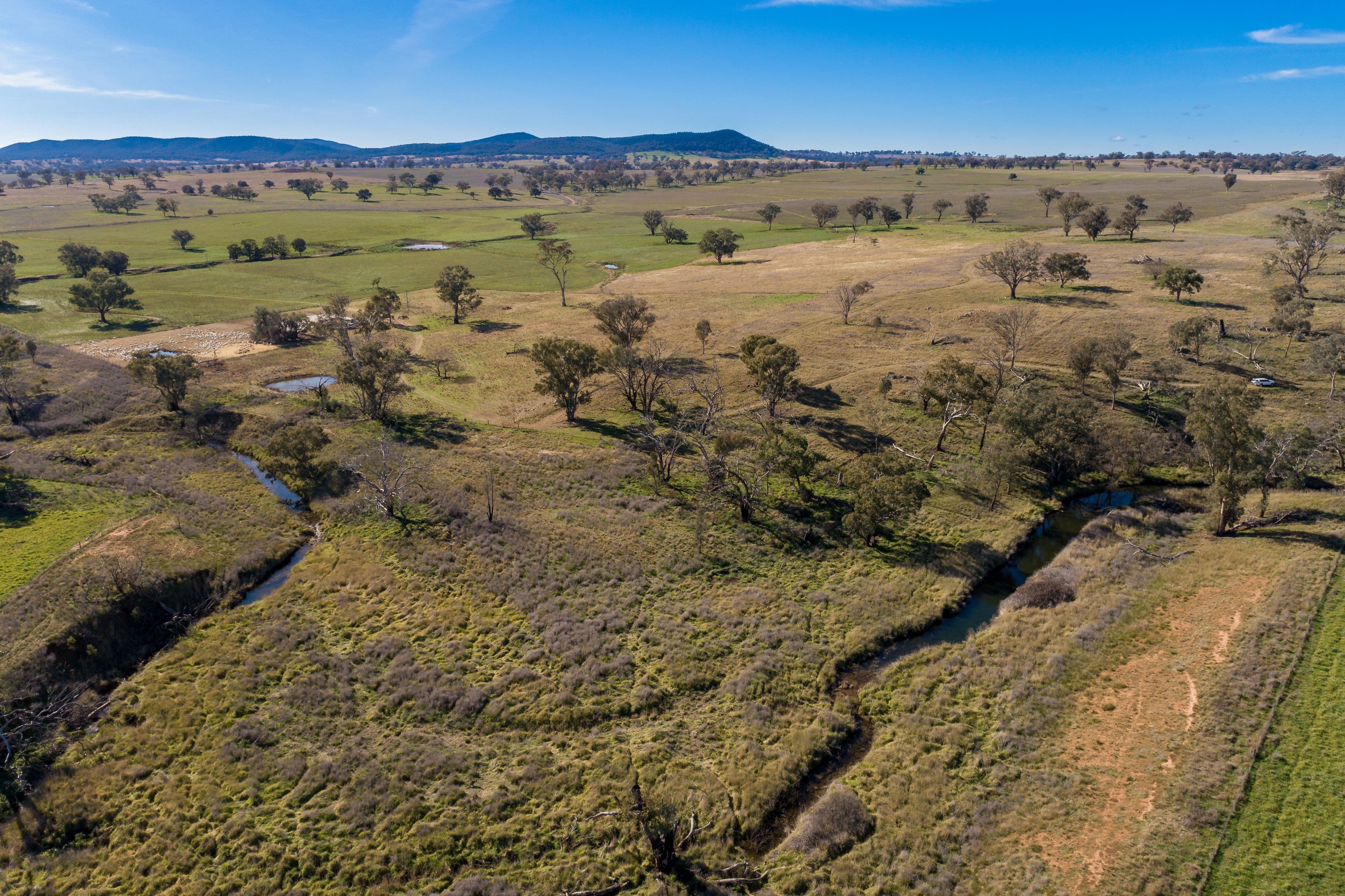 401 Catombal Road, Cumnock NSW 2867, Cumnock - Thumbnail 6