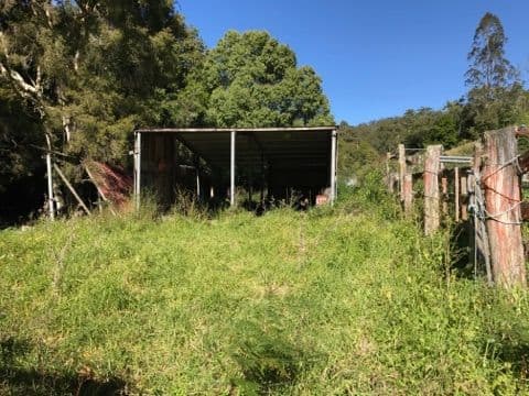 129 Quartpot Creek Road, Underbank NSW 2420, Underbank - Thumbnail 5