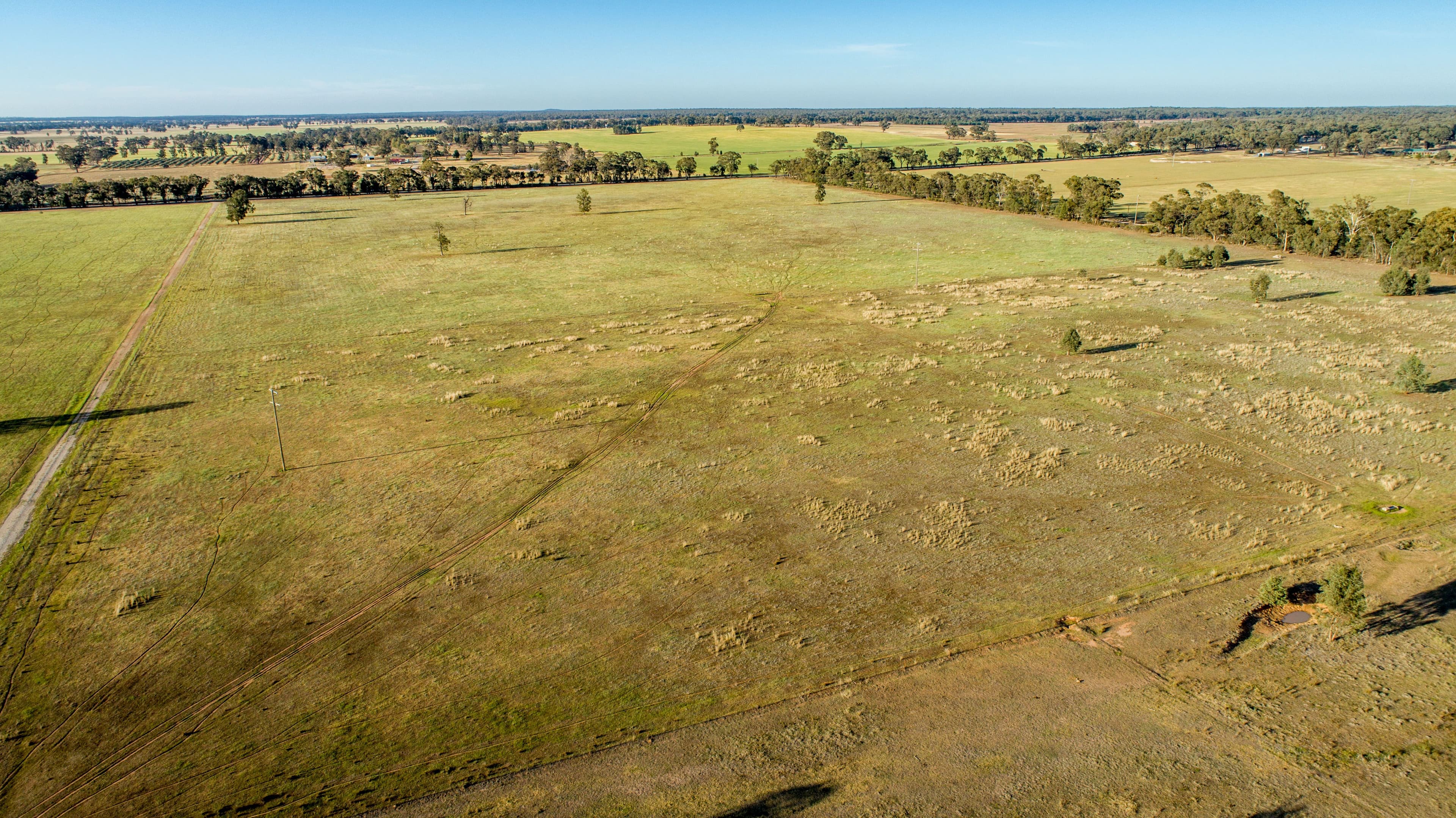 90 Thanowring School Road, Temora NSW 2666, Temora - Thumbnail 3