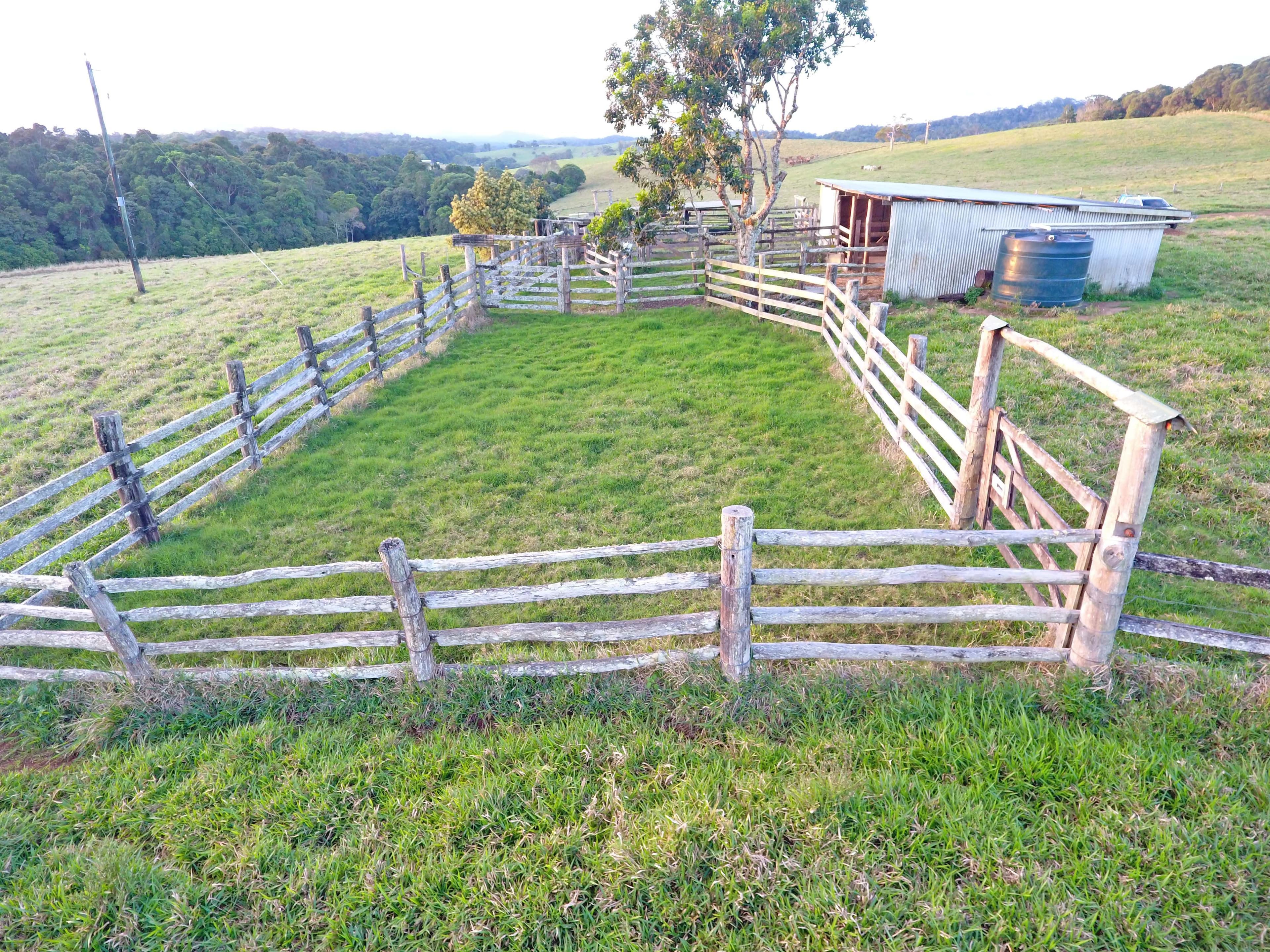 0 Boar Pocket Road, Danbulla QLD 4872, Danbulla - Thumbnail 4