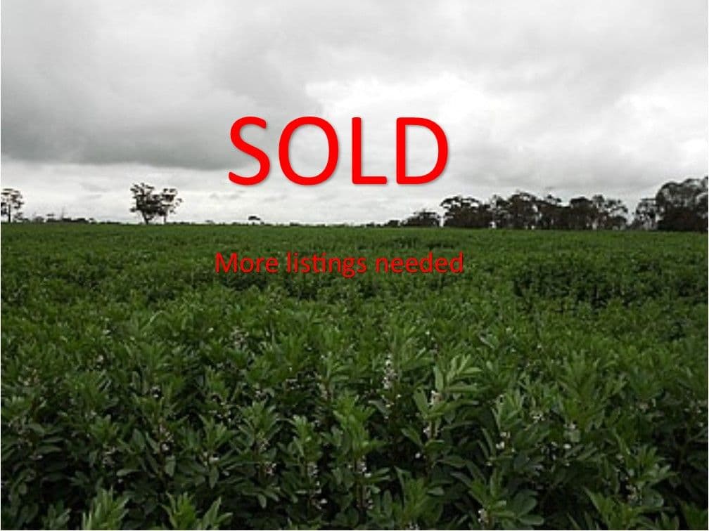 Lot 453 Siding Road, Bordertown SA 5268, Bordertown - Image 1