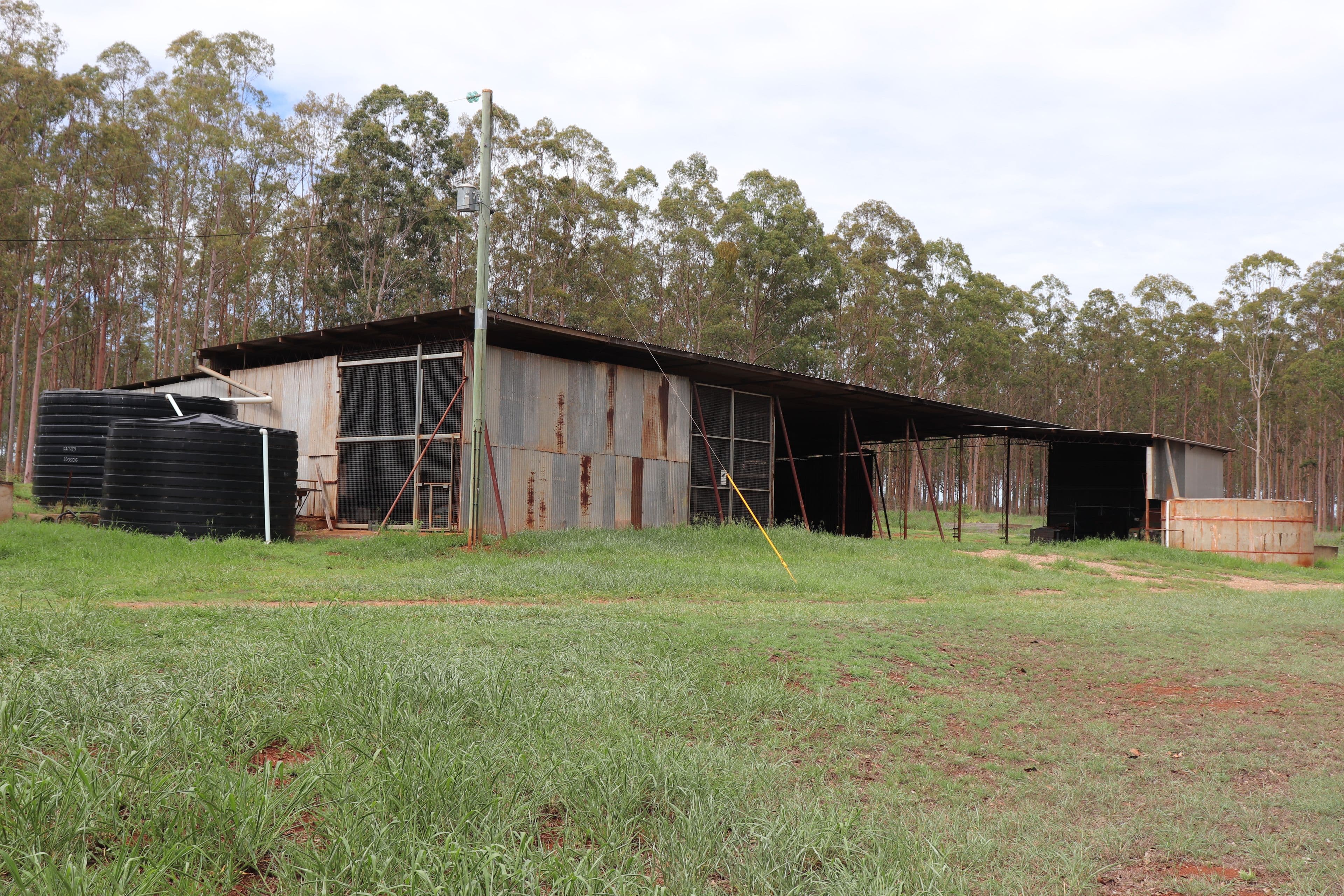 491 Sandows Road, Binjour QLD 4625, Binjour - Thumbnail 4