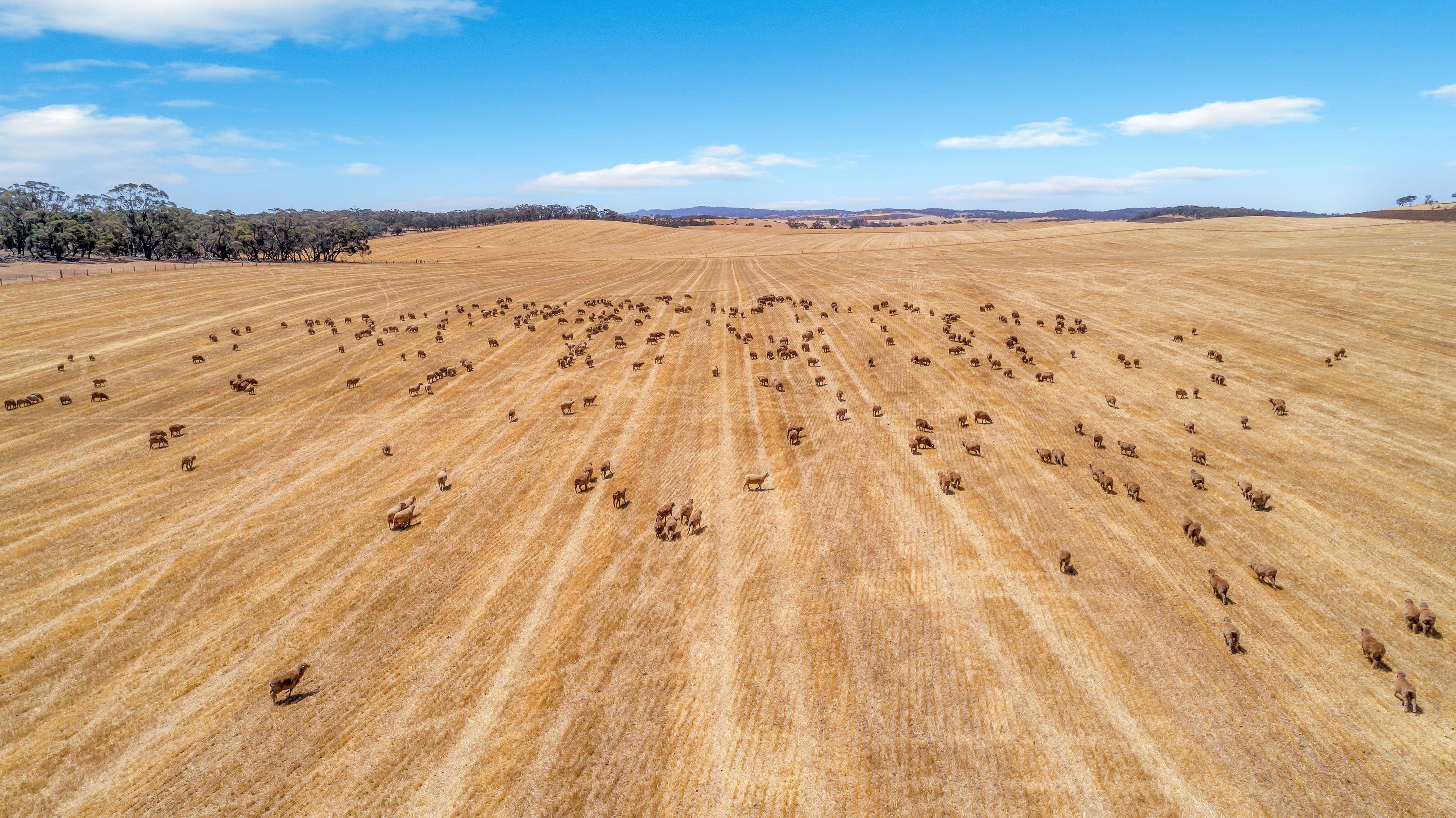 'Roehrs' 249 Roehr Road, Tarnma SA 5413, Tarnma - Thumbnail 5