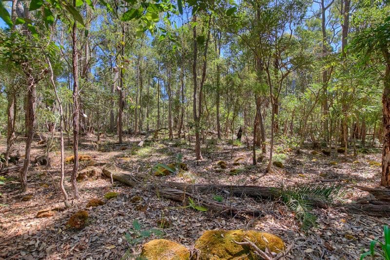 NANNUP WA 6275, Nannup - Thumbnail 2