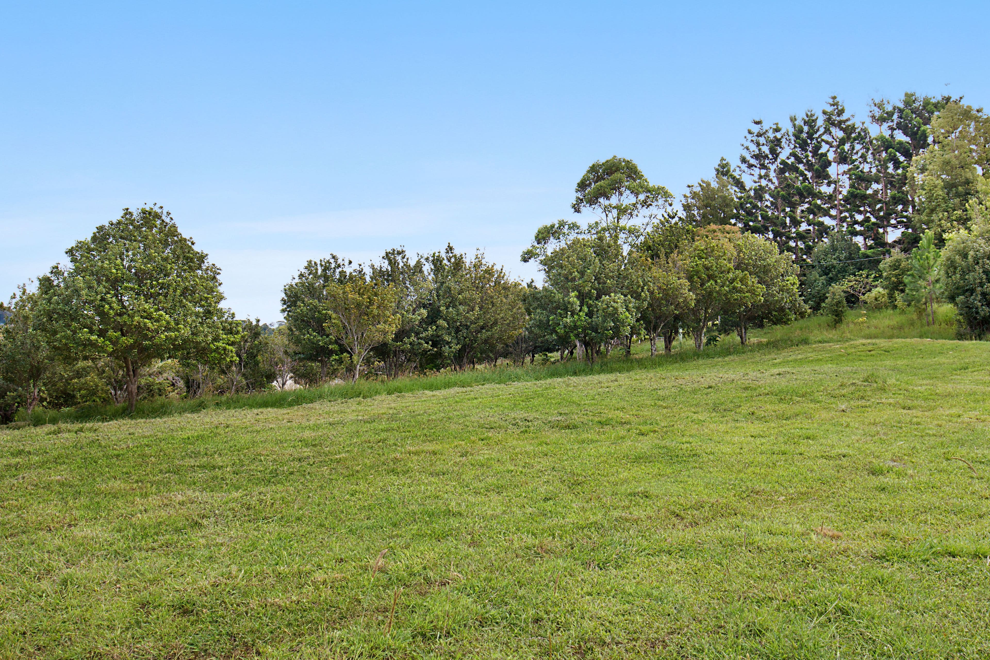 92 McDonald's Road, Carool NSW 2486, Carool - Thumbnail 6