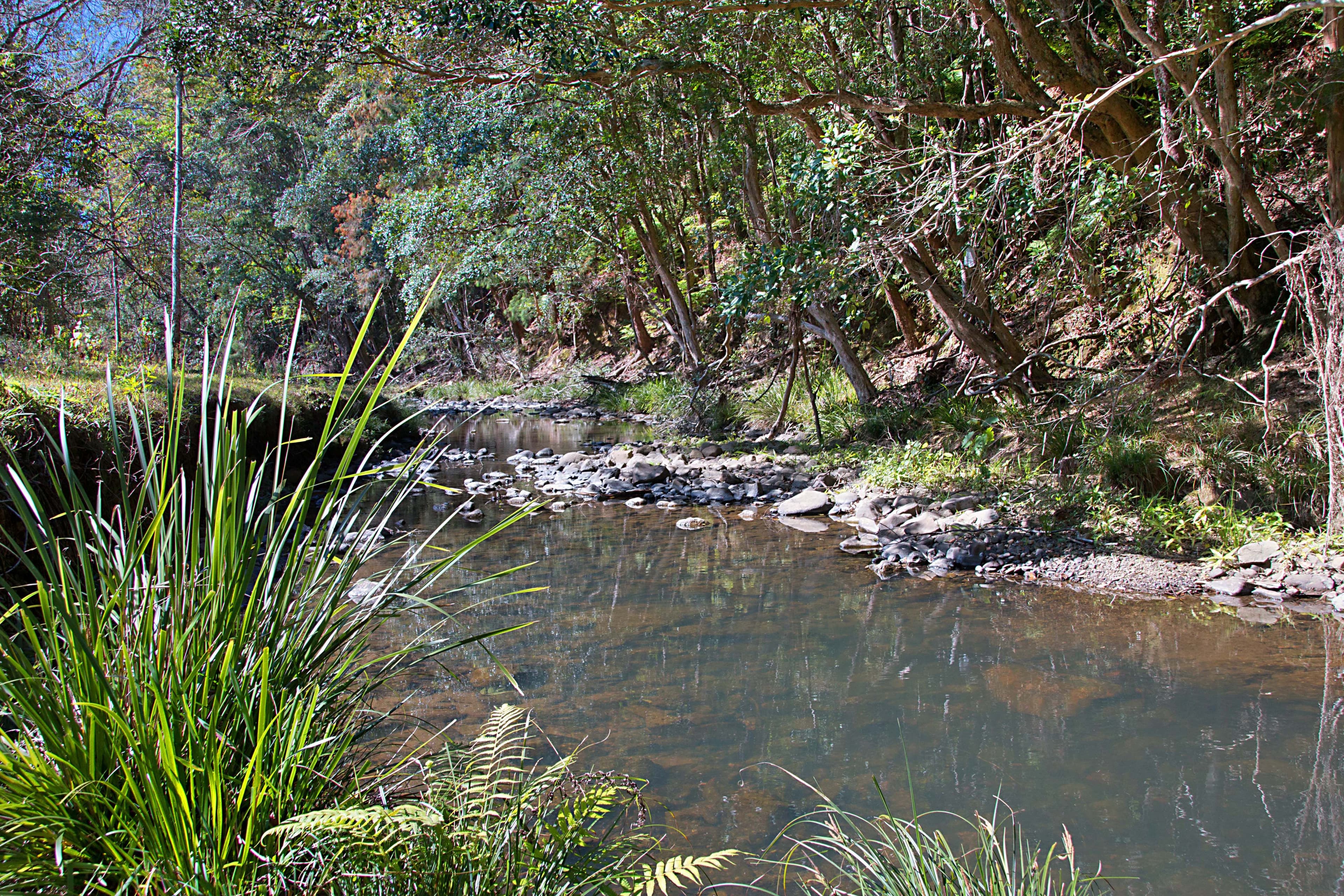 679 Urliup Road, Urliup NSW 2484, Urliup - Thumbnail 3