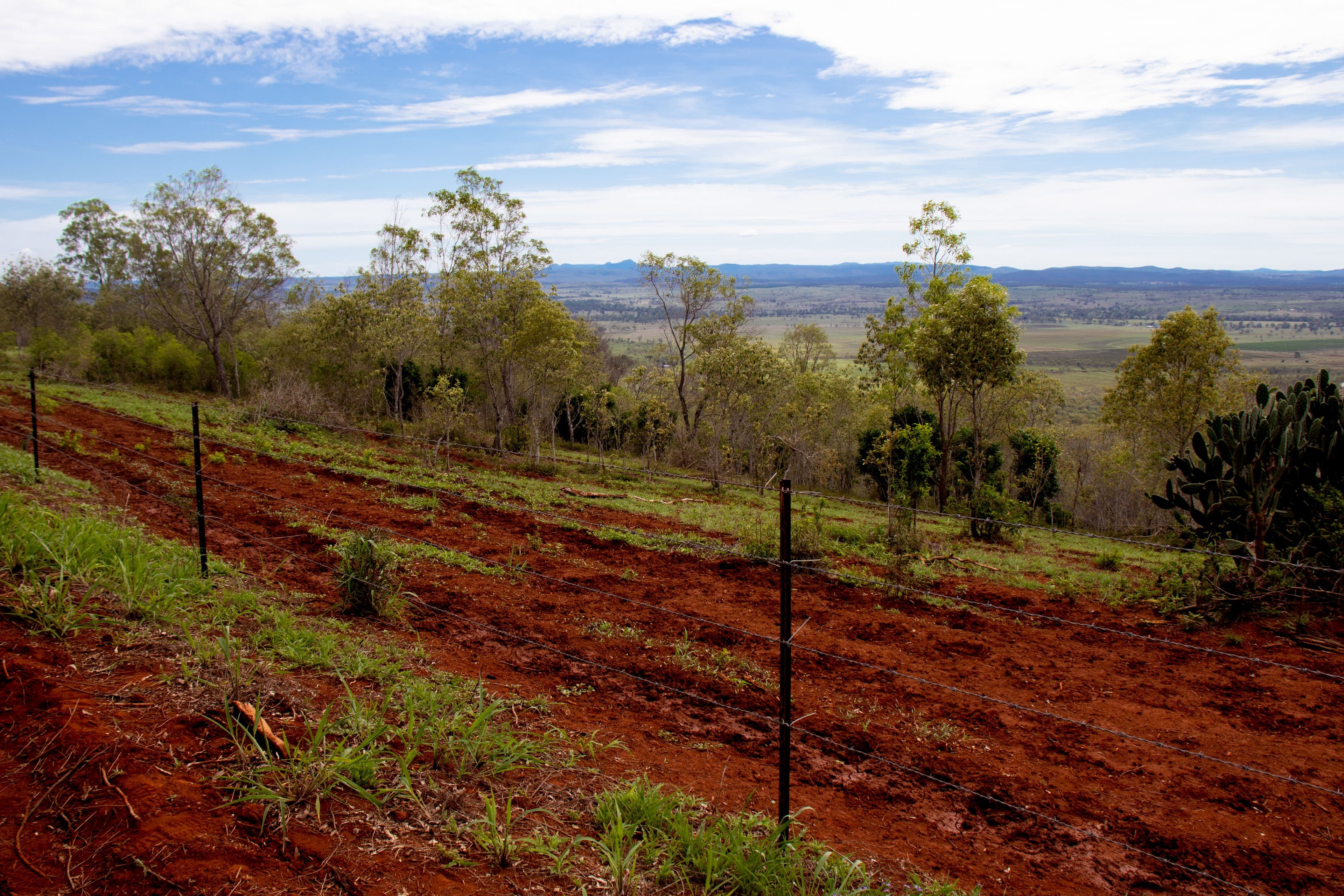 491 Sandows Road, Binjour QLD 4625, Binjour - Thumbnail 2