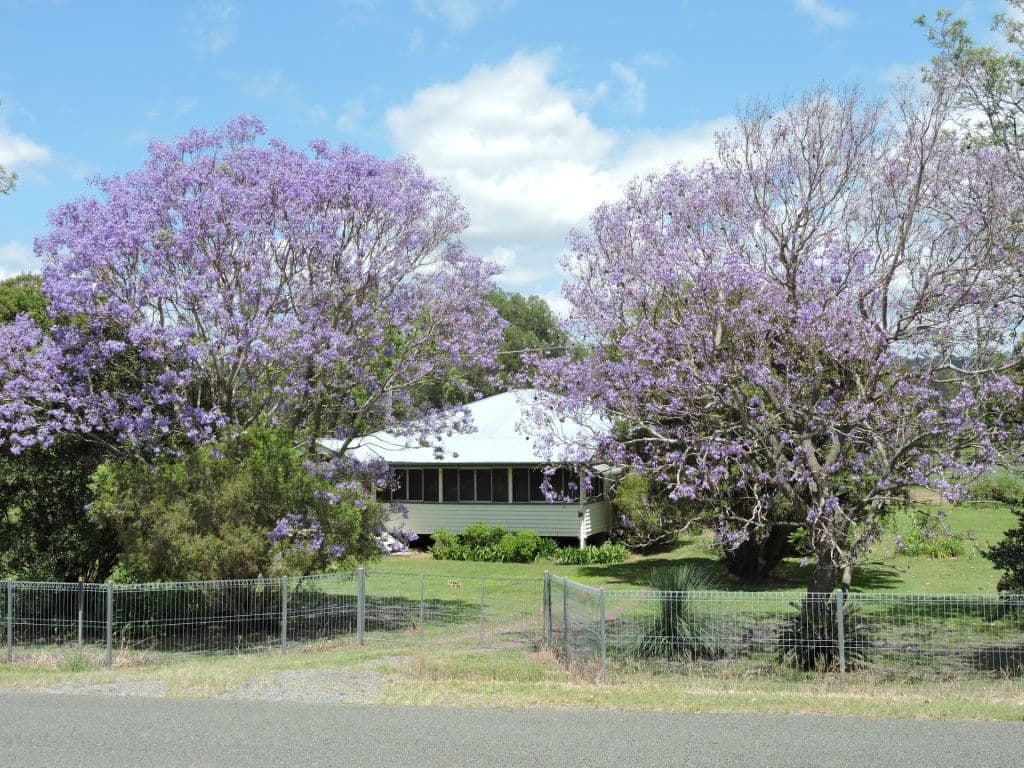 604 Running Creek Road, Running Creek QLD 4287, Running Creek - Thumbnail 2