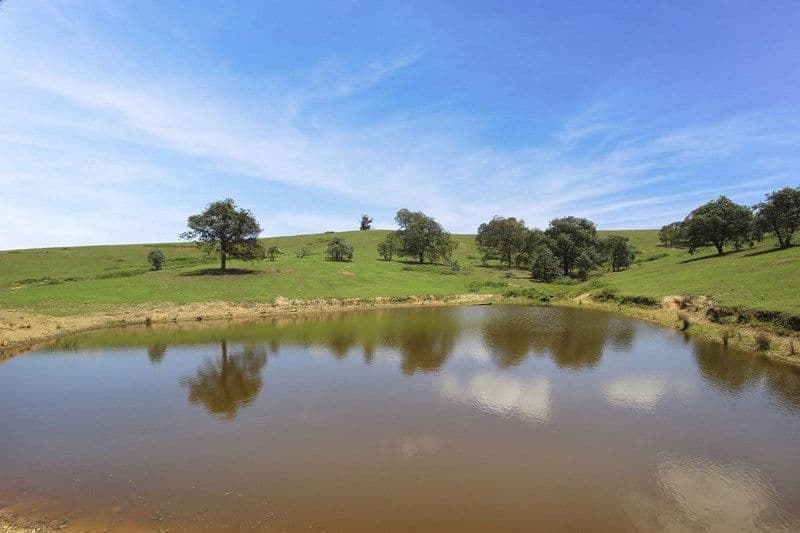 787 Inverary Road, Paddys River NSW 2577, Paddys River - Thumbnail 3