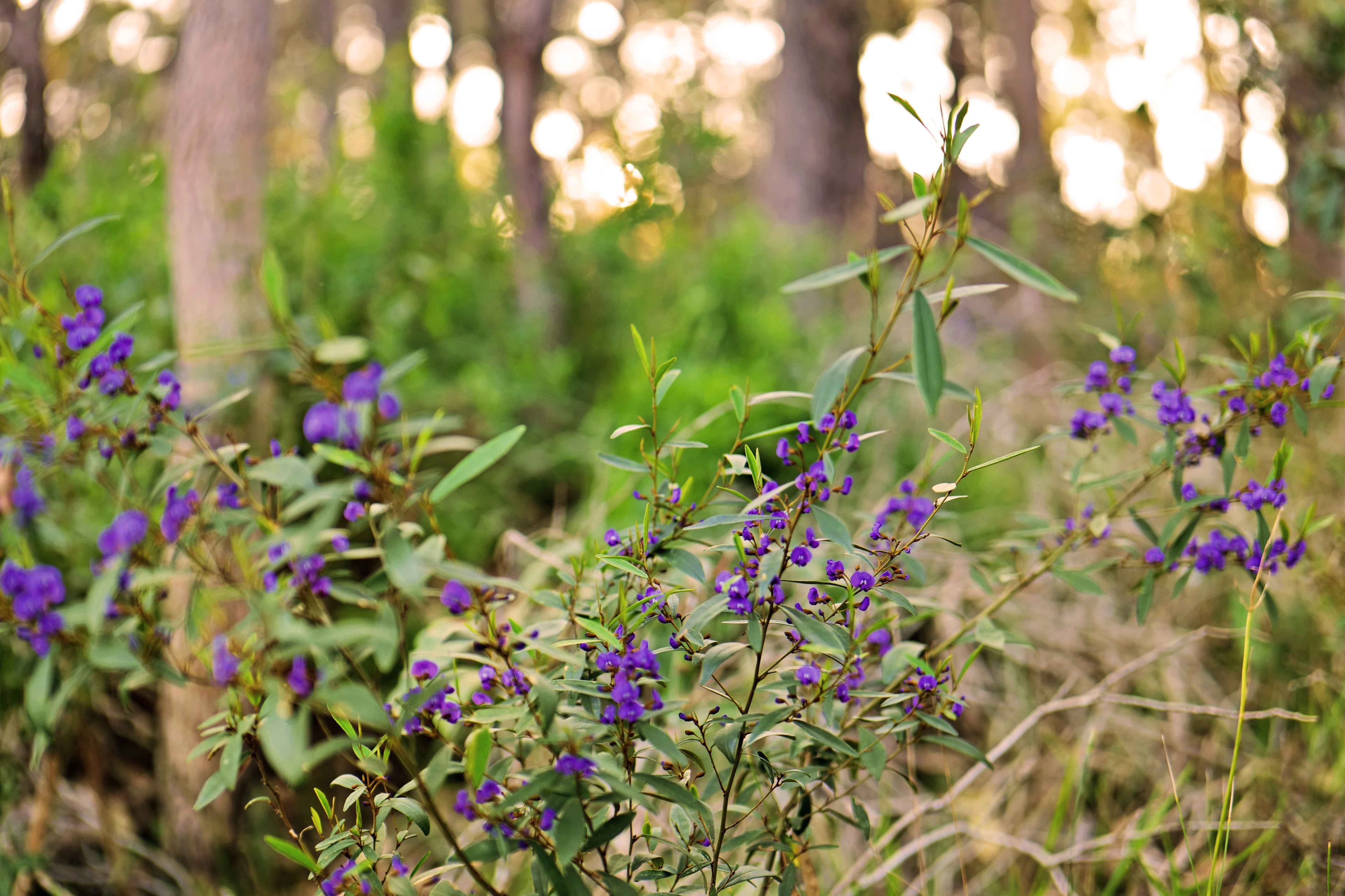 PL 2, 69 Brockman Road, The Hideaway, Cowaramup WA 6284, Cowaramup - Thumbnail 7