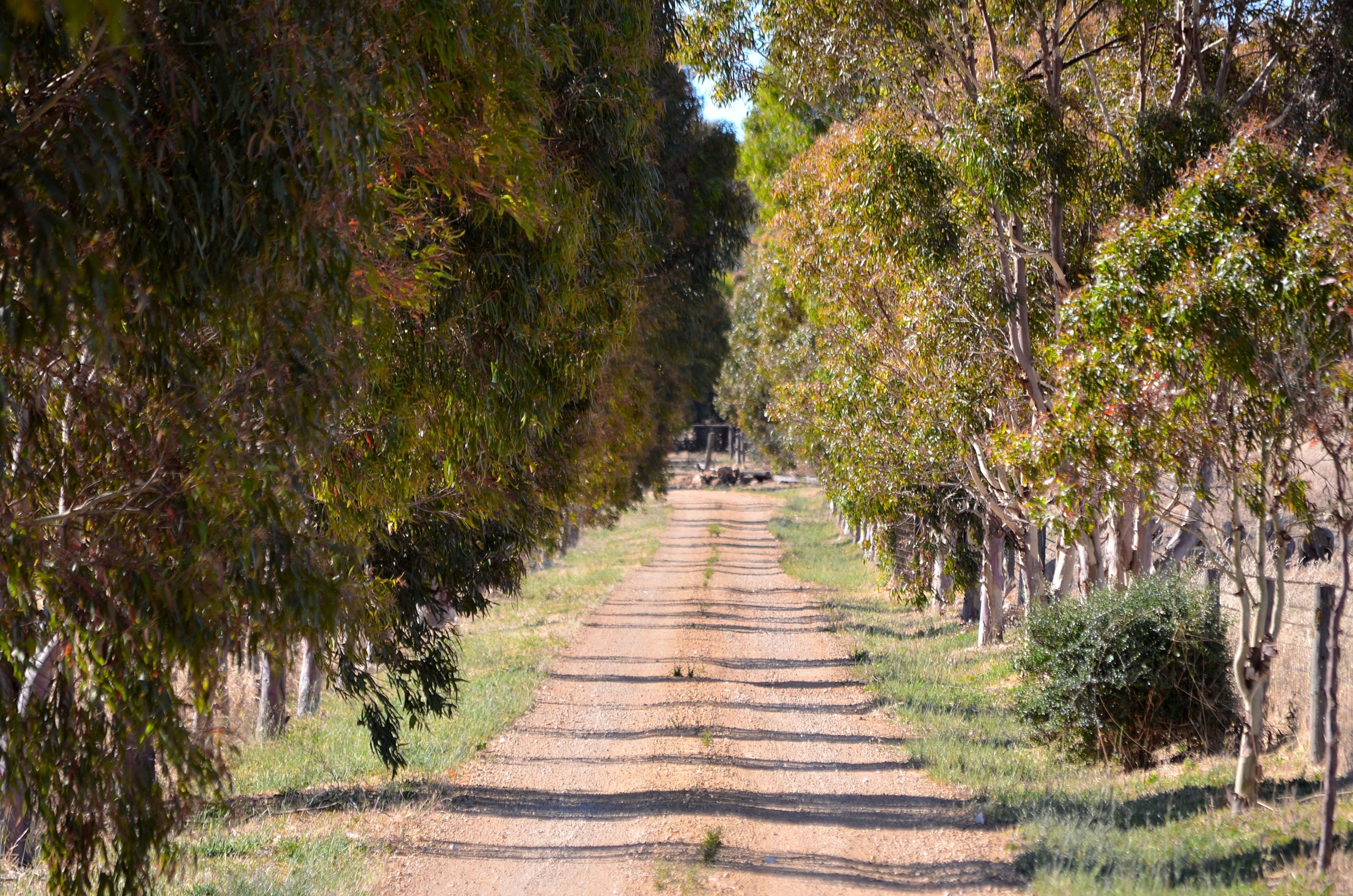 285 Burnside Road, Strathalbyn SA 5255, Strathalbyn - Thumbnail 4