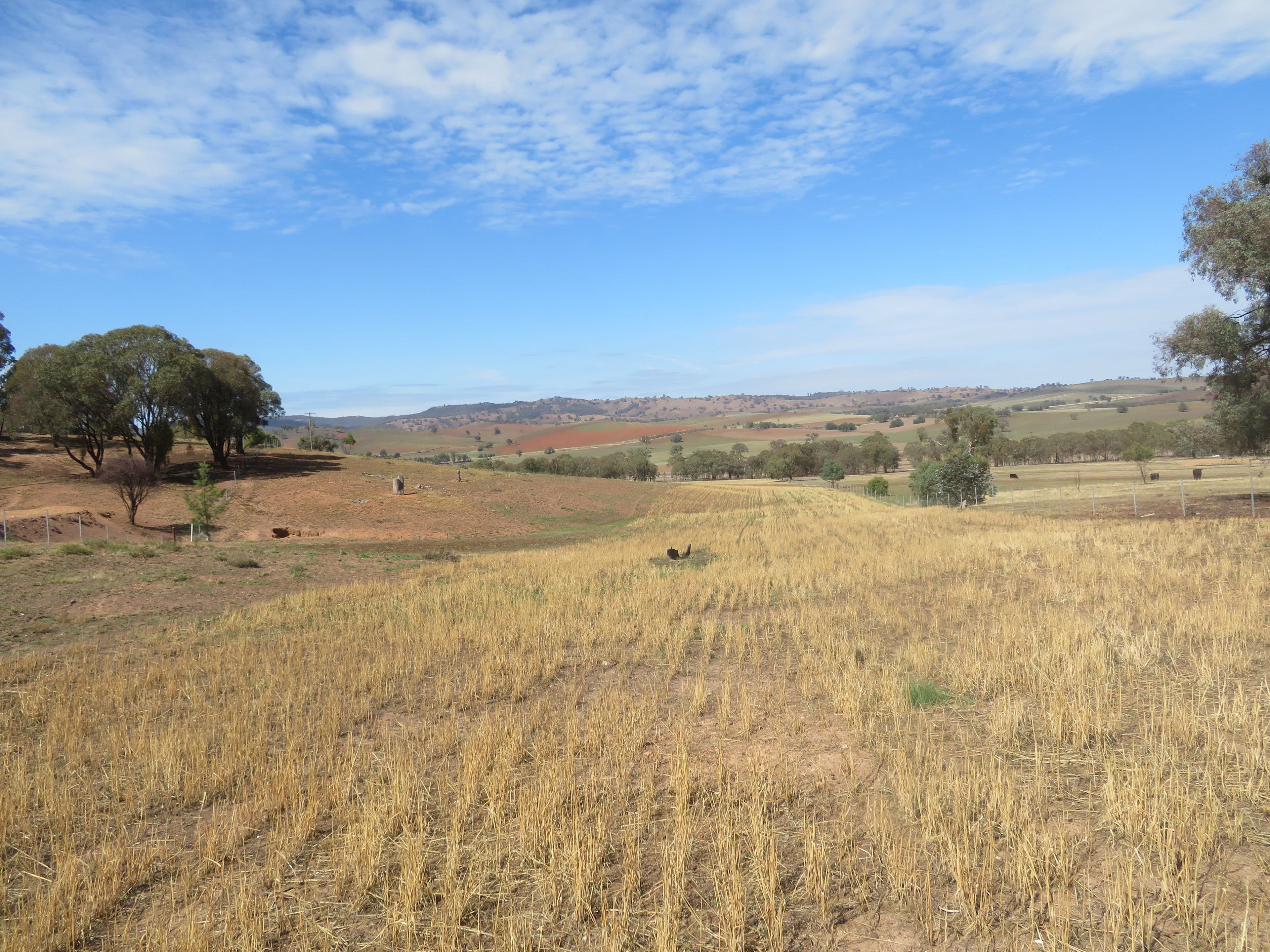 Lot 4 Old Hume Highway (Mundarlo Rd), Tumblong NSW 2729, Tumblong - Thumbnail 6