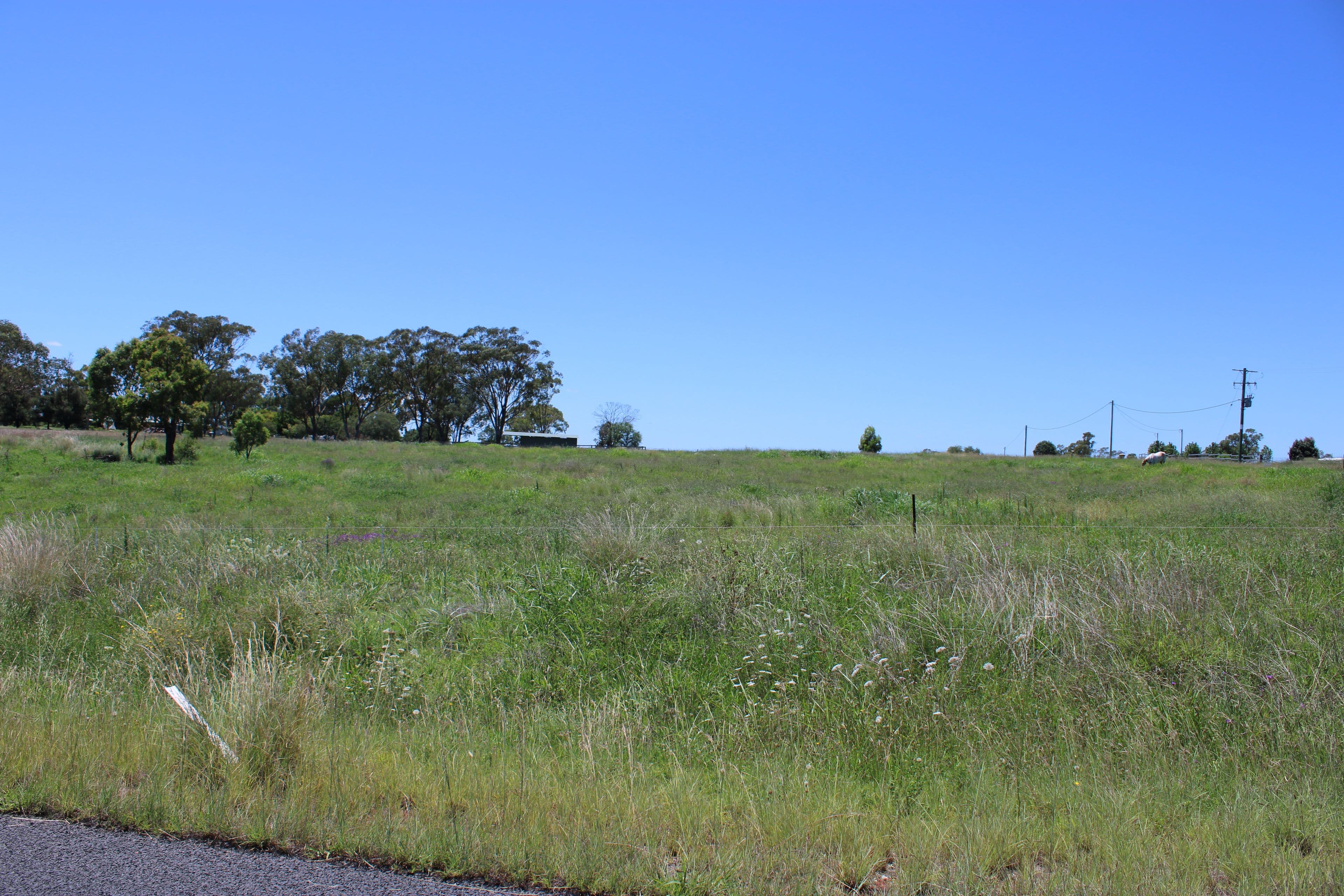 13 Bullamungee Close, Inverell NSW 2360, Inverell - Thumbnail 7