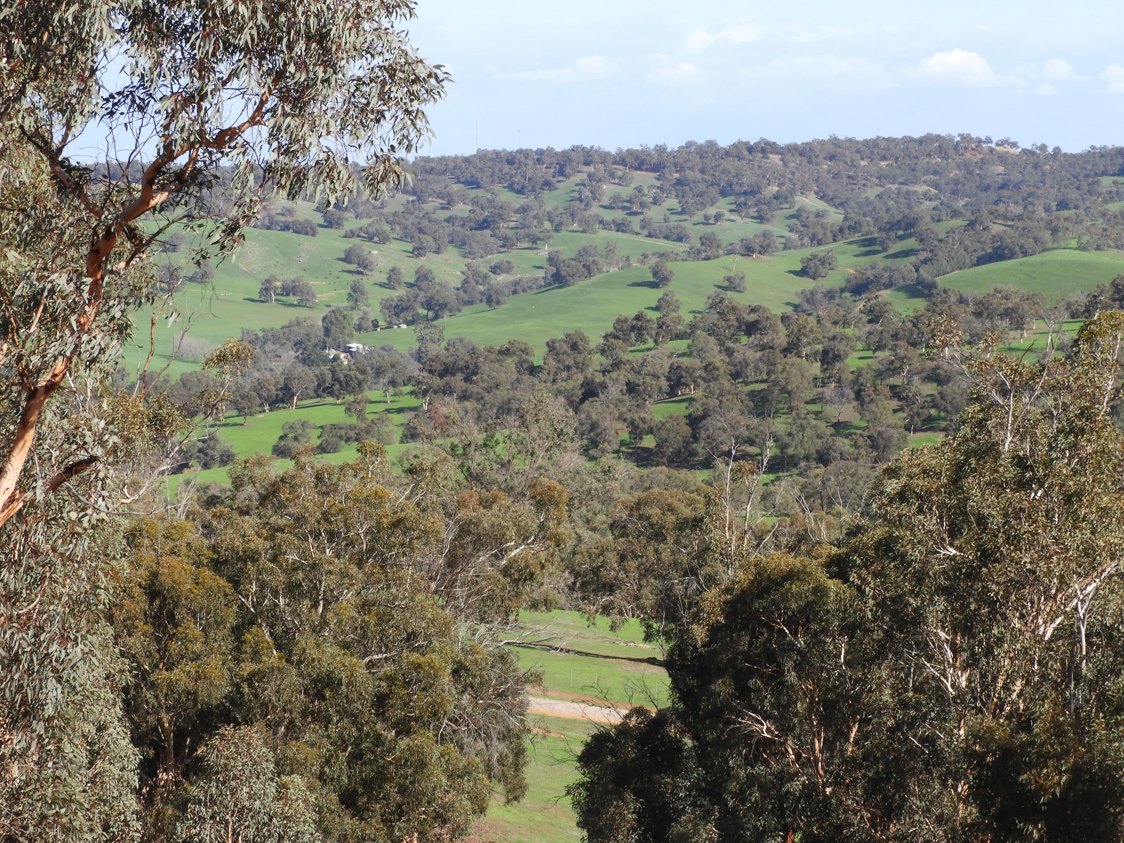 Lot 716 Lower Chittering Road, Chittering WA 6084, Chittering - Image 1