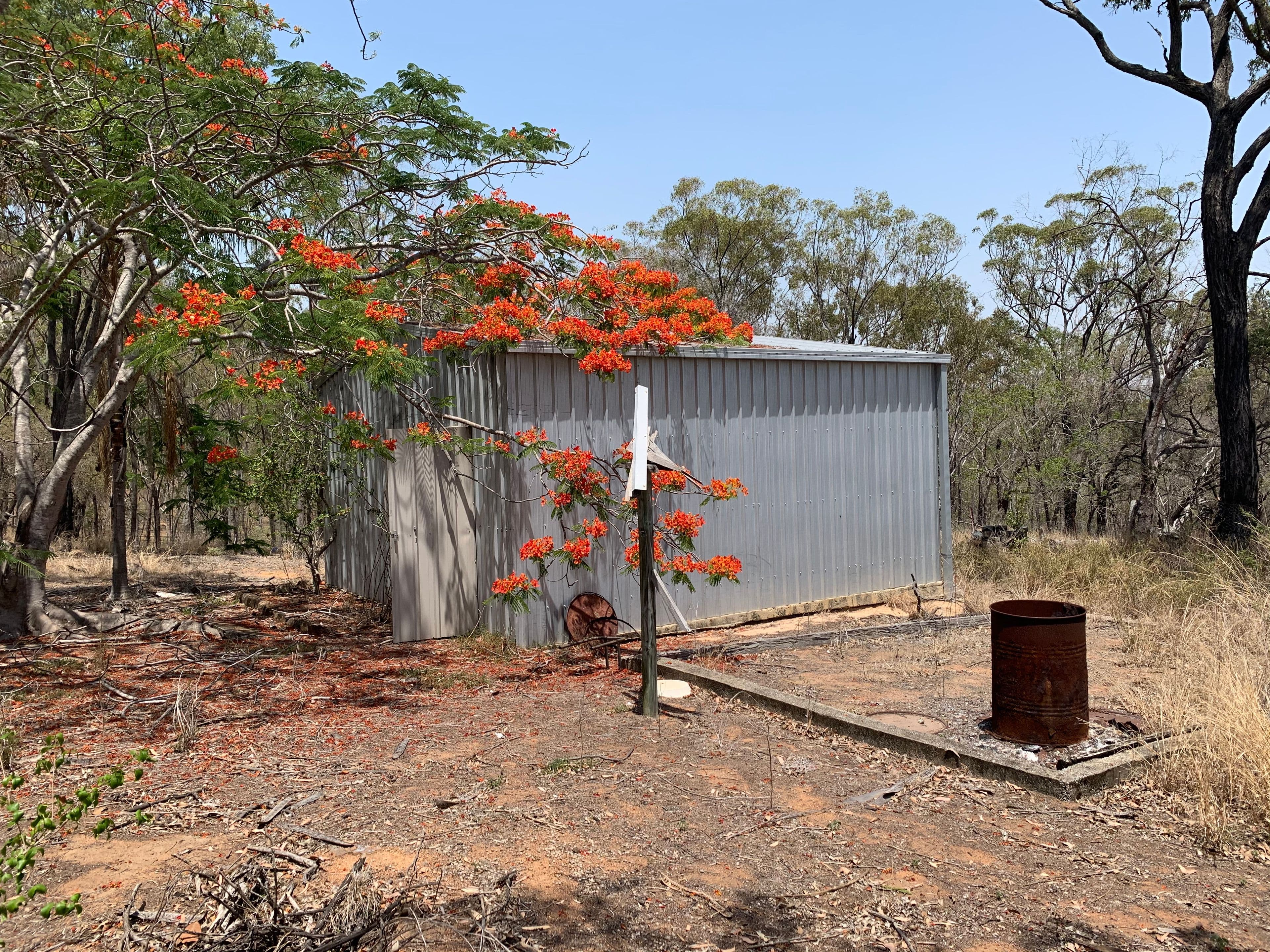46967 Bruce Highway, Iveragh QLD 4680, Iveragh - Thumbnail 8