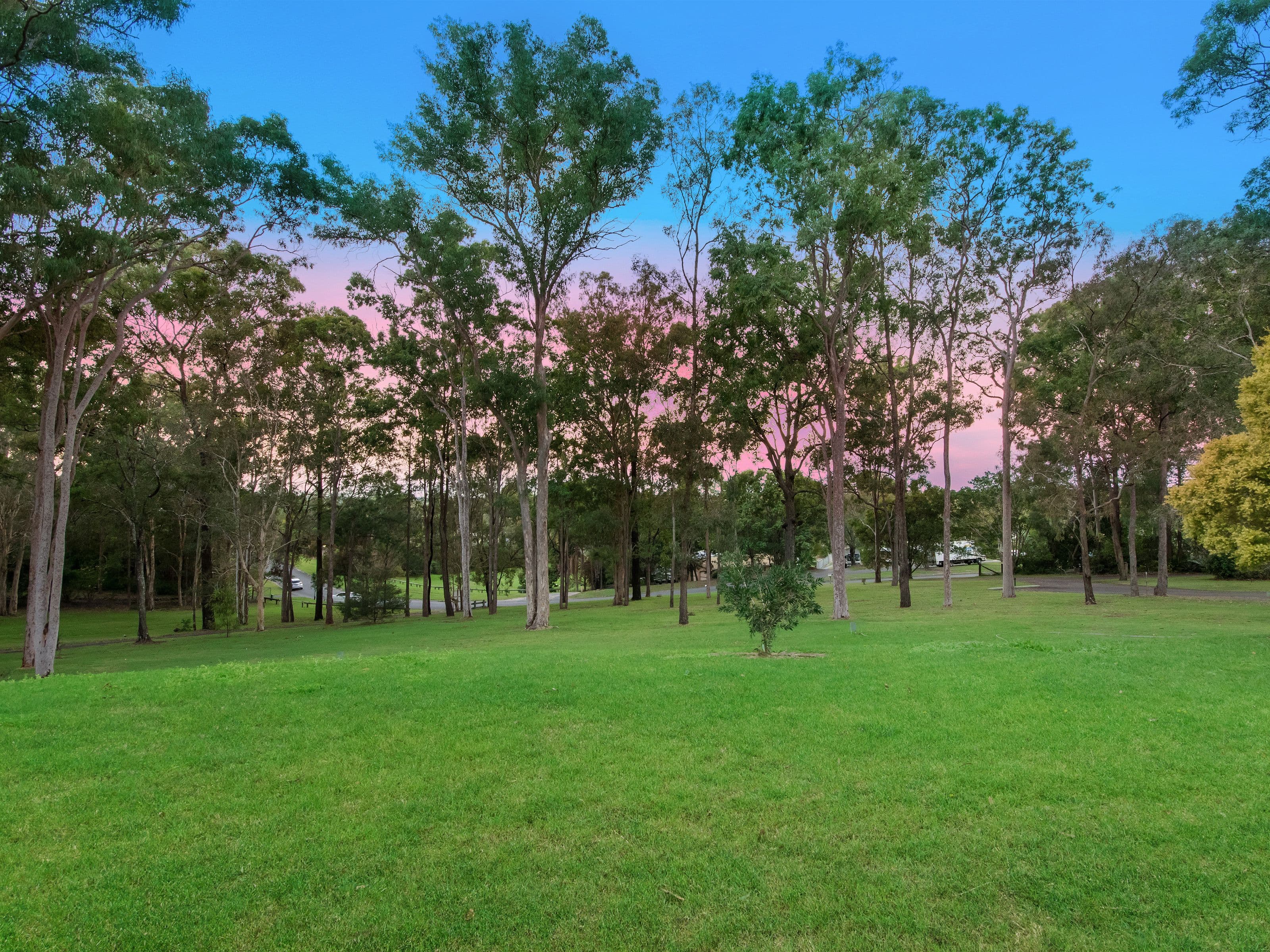 7 Mendooran Court, Oxenford QLD 4210, Oxenford - Thumbnail 2