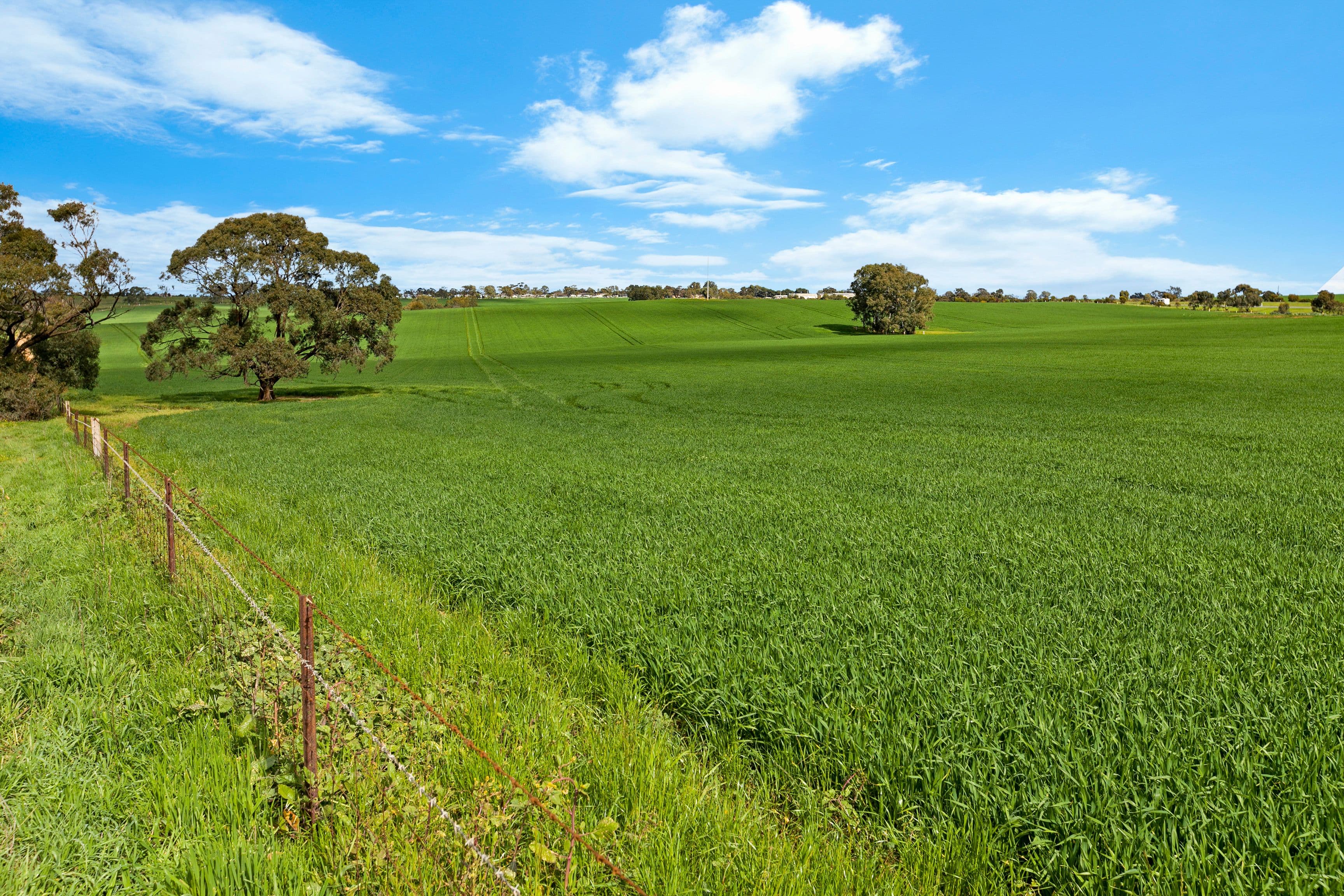 'Kingsford Block' - Lot 508 Sturt Highway, Kingsford SA 5118, Kingsford - Thumbnail 4