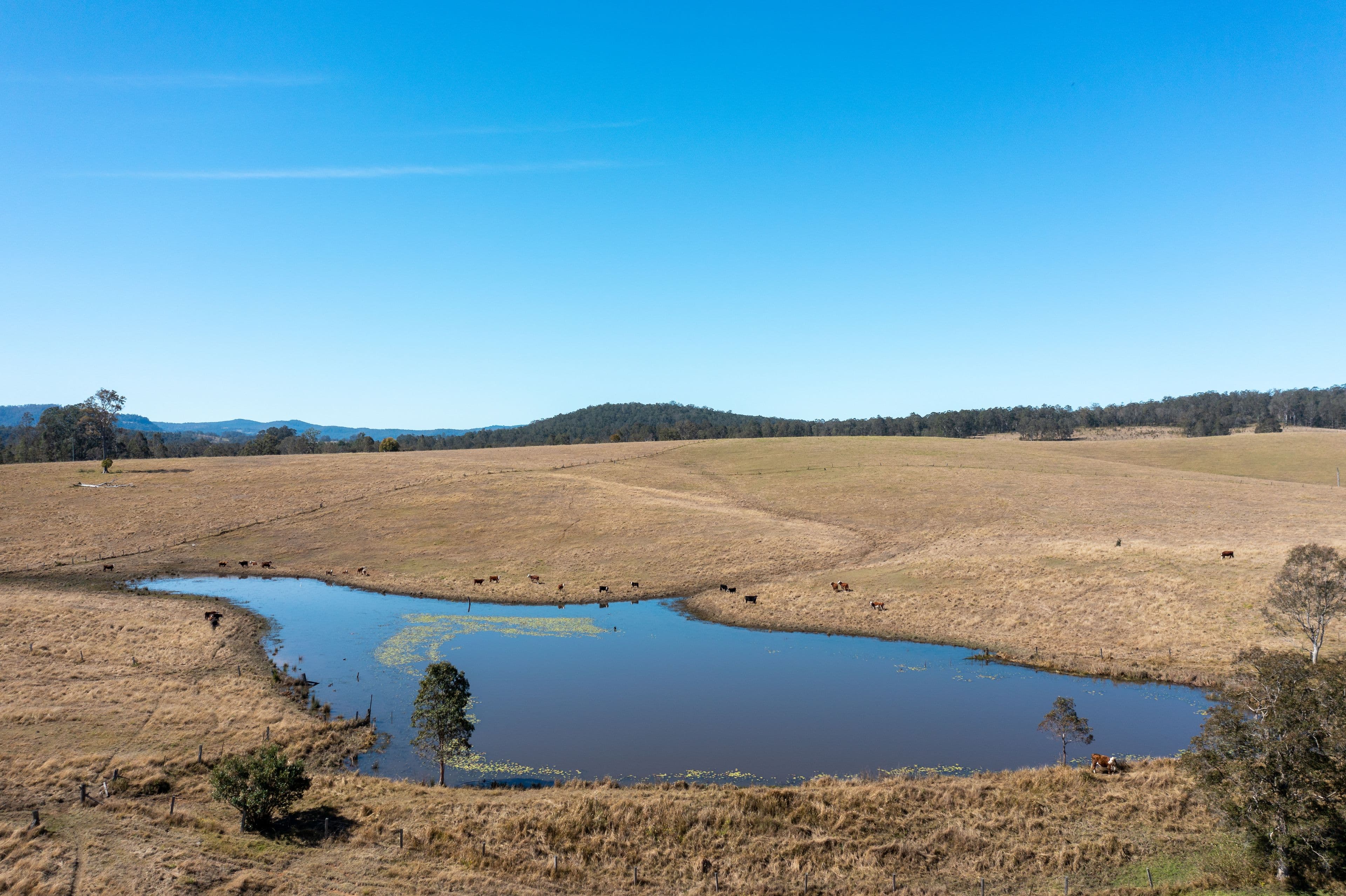 970 Tabulam Road, Tabulam NSW 2469, Tabulam - Thumbnail 3
