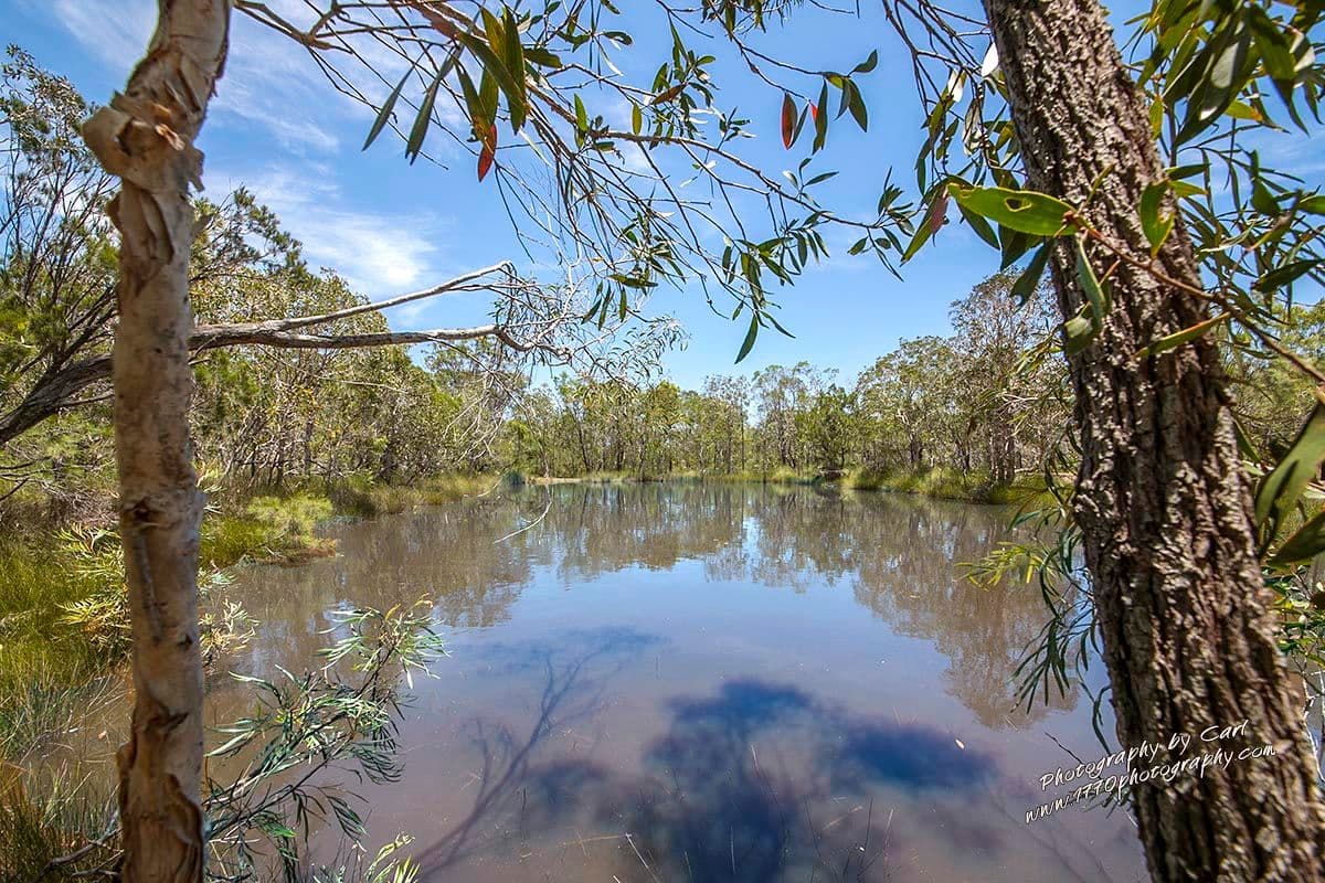29 Jakeman Drive, Agnes Water QLD 4677, Agnes Water - Thumbnail 7