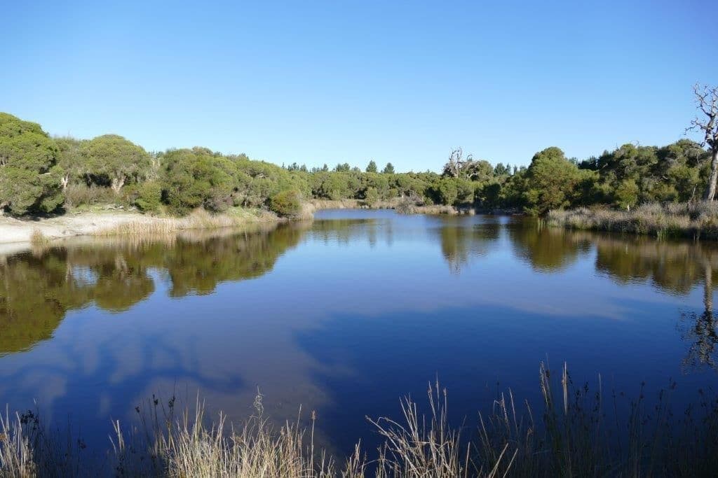 Twin Rivers Farm, 1960 Wannamal Road West, Gingin WA 6503, Gingin - Thumbnail 8