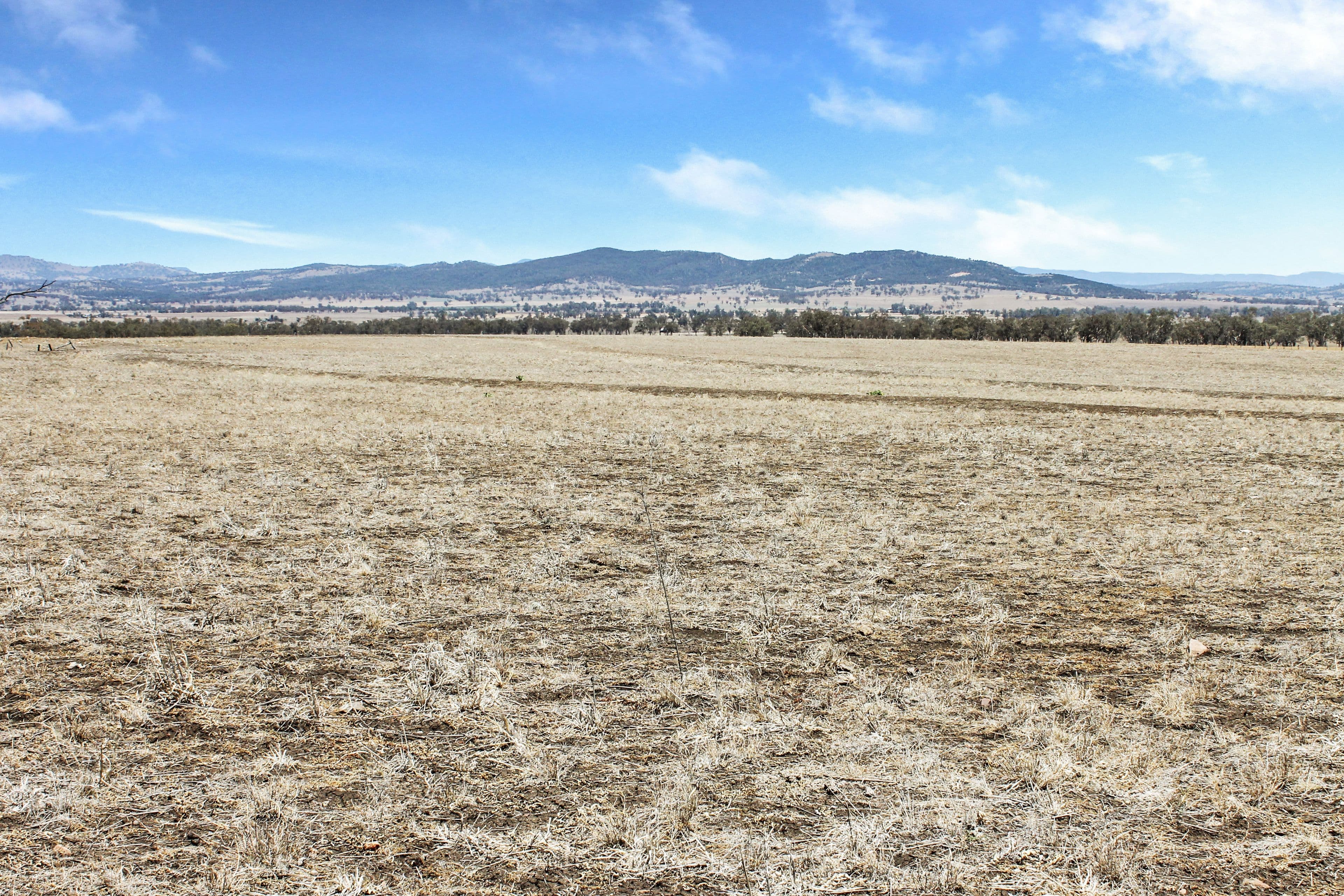237 Porters Lane, Quirindi NSW 2343, Quirindi - Image 1