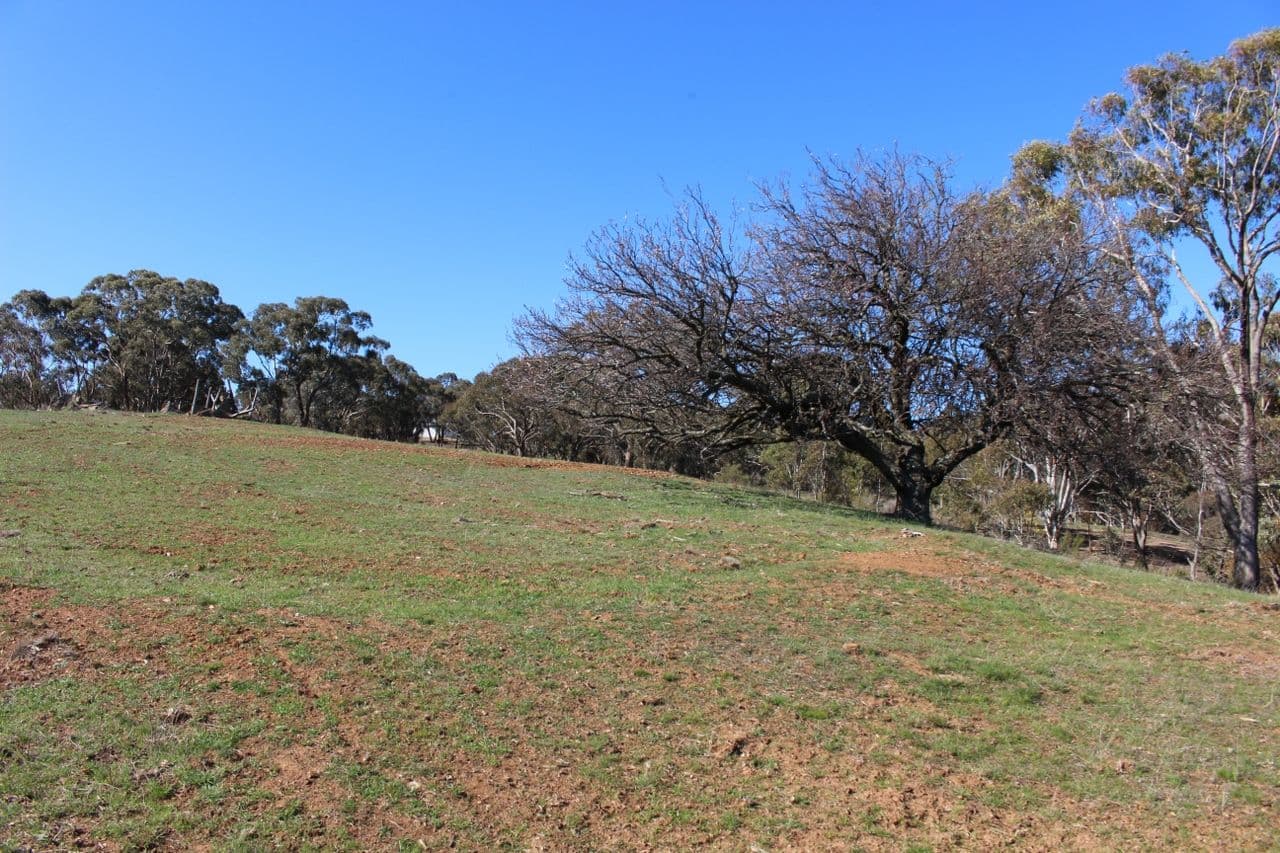 Fosters Valley NSW 2795, Fosters Valley - Thumbnail 2