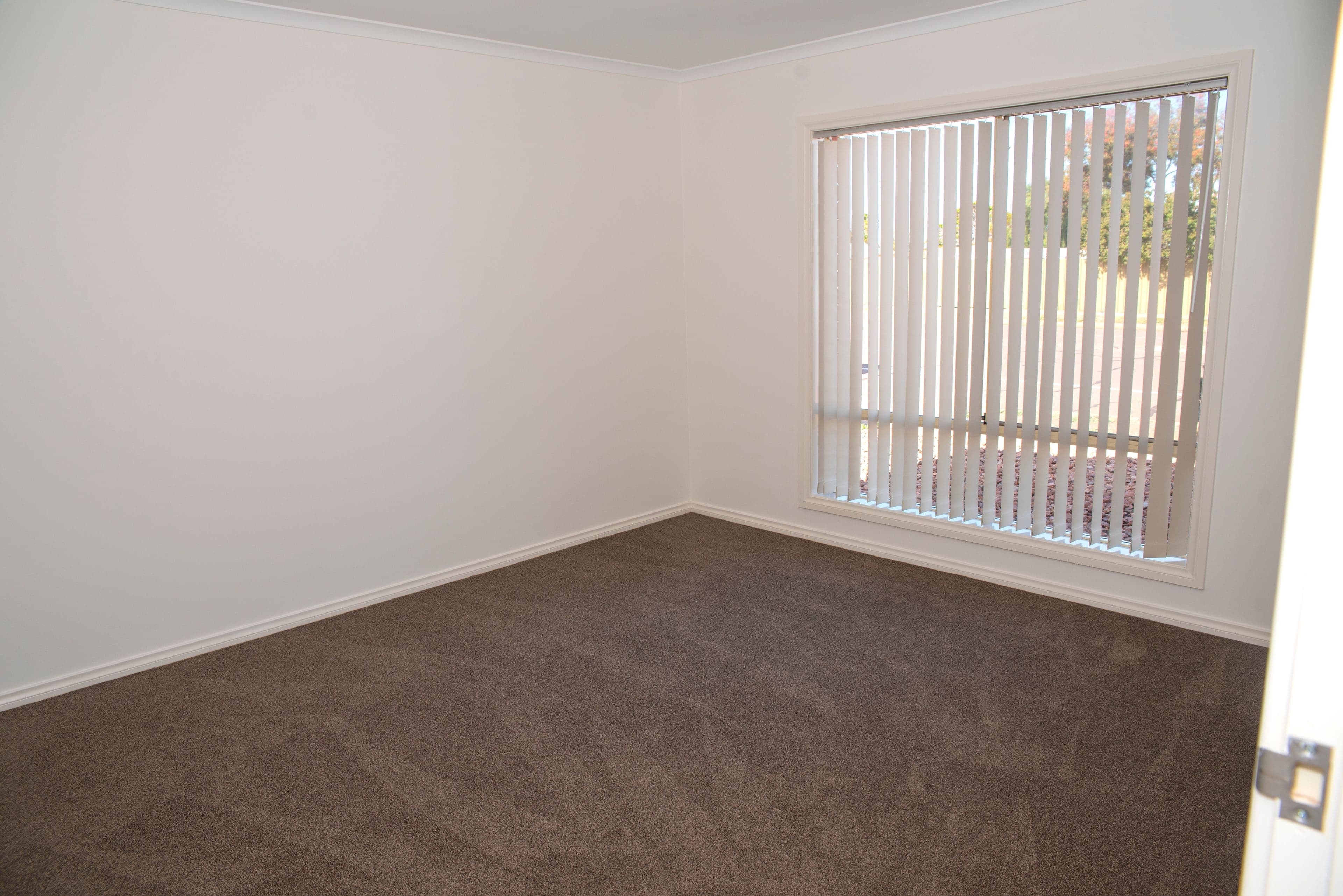 56 Jackson Avenue, Whyalla Norrie SA 5608, Whyalla Norrie - Thumbnail 2