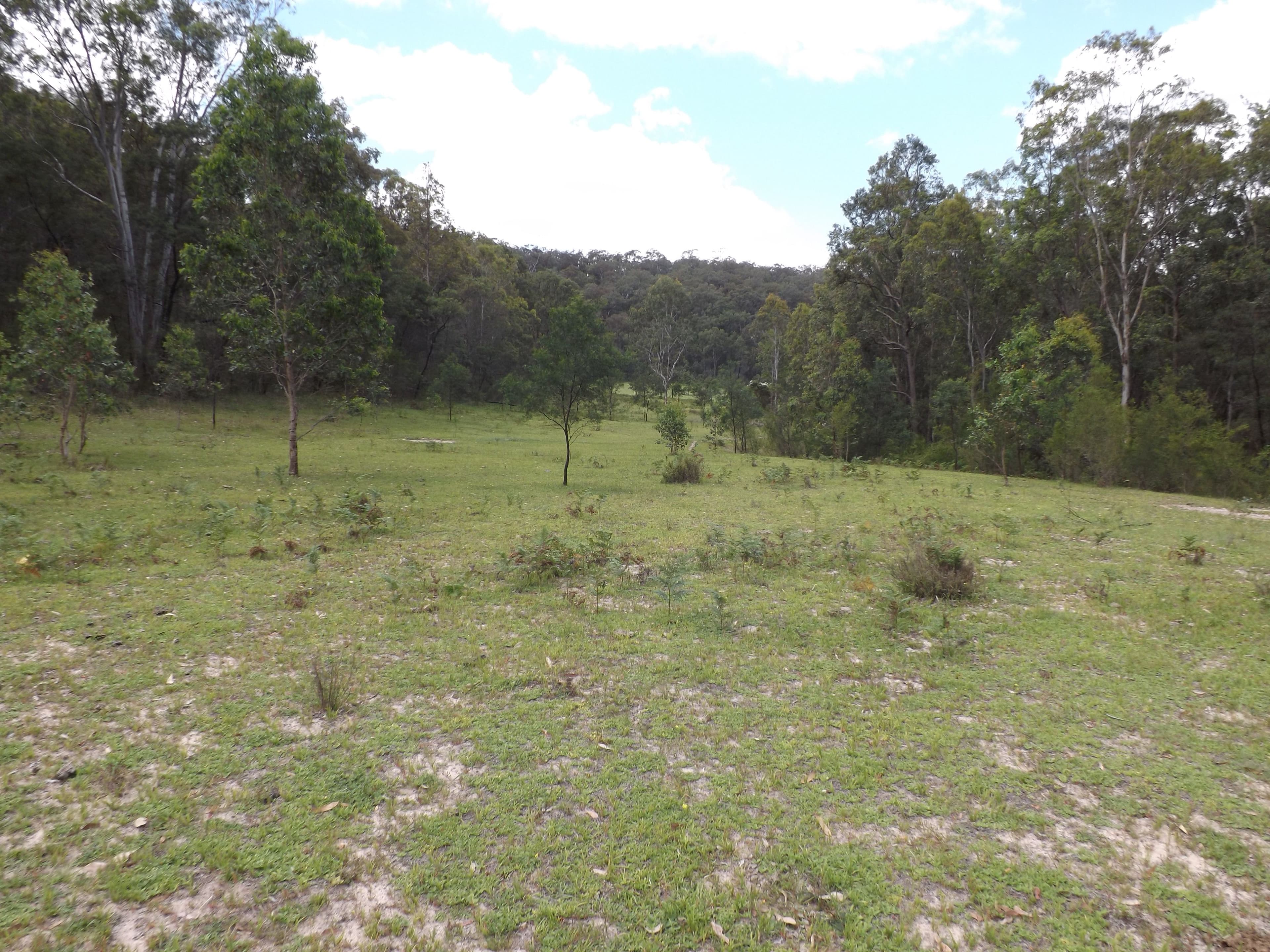 Garland Valley NSW 2330, Garland Valley - Thumbnail 3