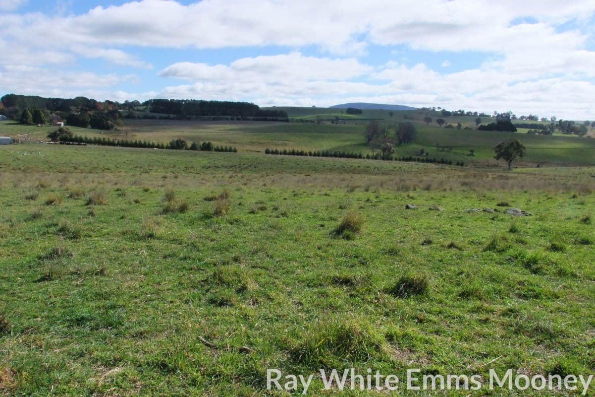 Blayney NSW 2799, Blayney - Thumbnail 6