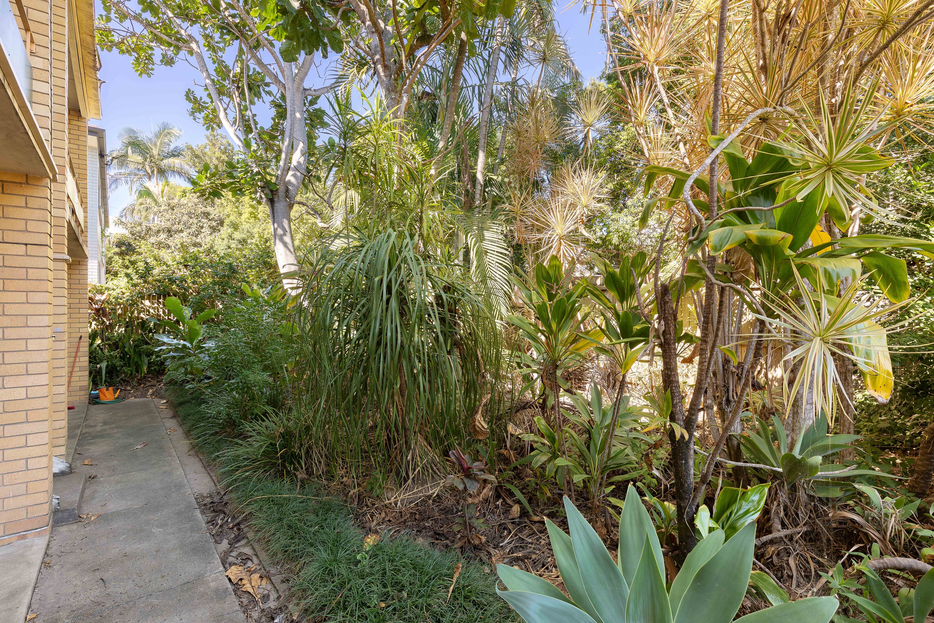 132A Waterton Street, Annerley QLD 4103, Annerley - Thumbnail 6