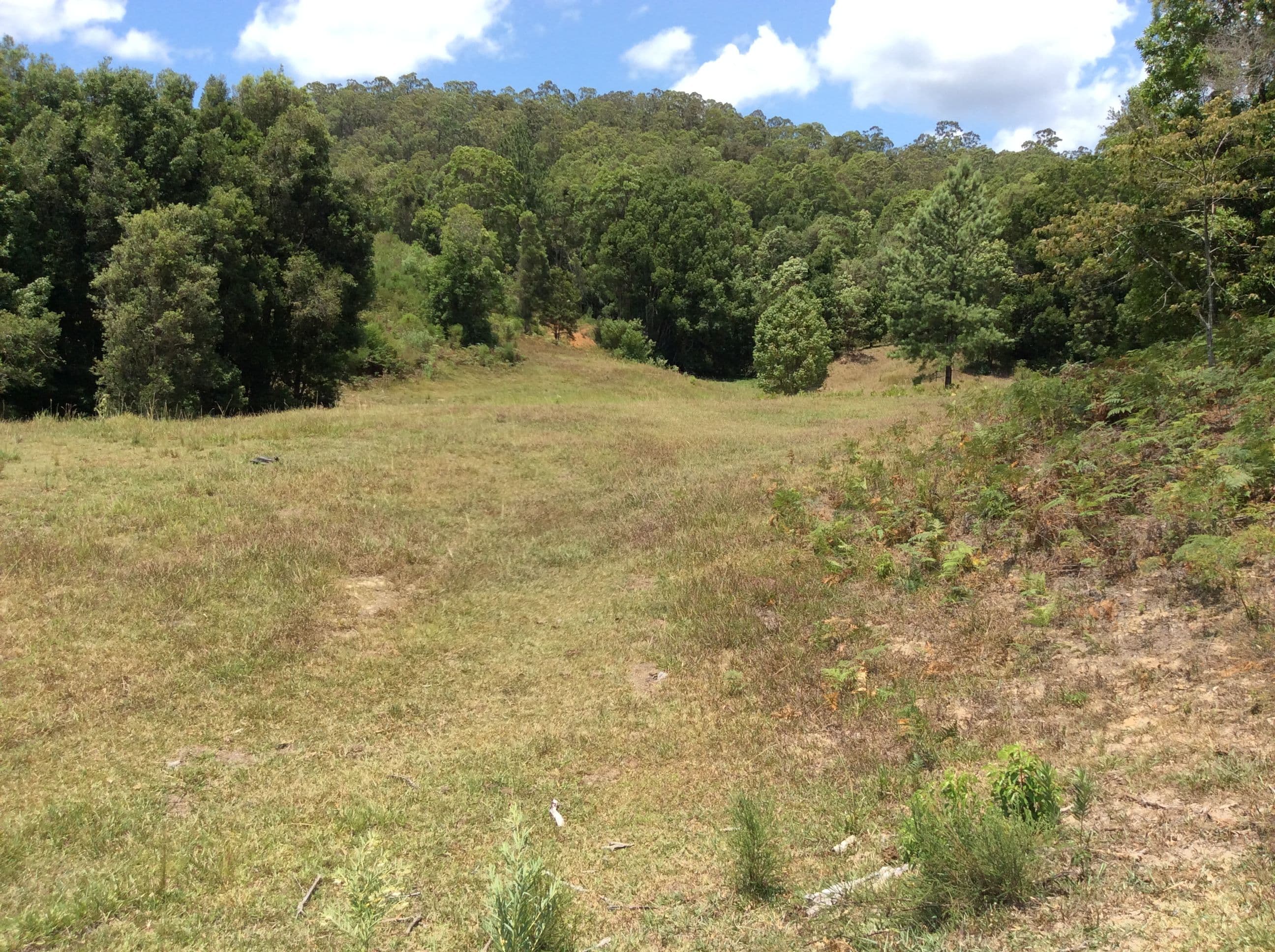 160 Richards Deviation, Dunbible NSW 2484, Dunbible - Thumbnail 3