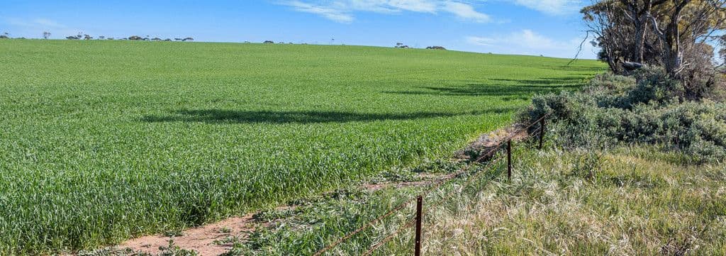 'Pine Row' 1422 Wards Hill Road via, Port Broughton SA 5522, Port Broughton - Thumbnail 4