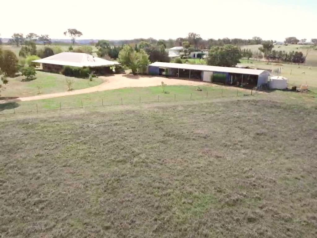 603 Spring Creek Road, Young NSW 2594, Young - Thumbnail 4