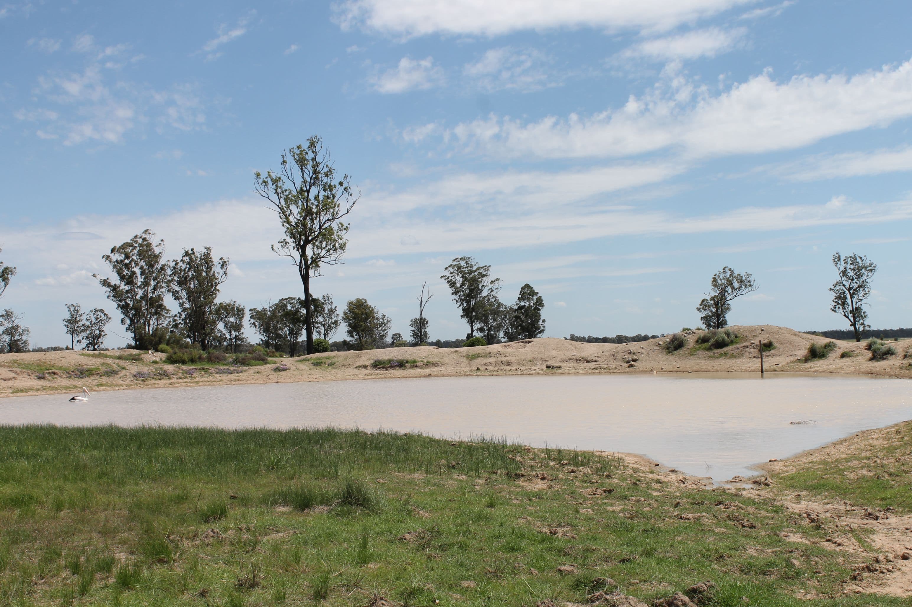 . Millmerran-Cecil Plains Road, Cecil Plains QLD 4407, Cecil Plains - Thumbnail 5