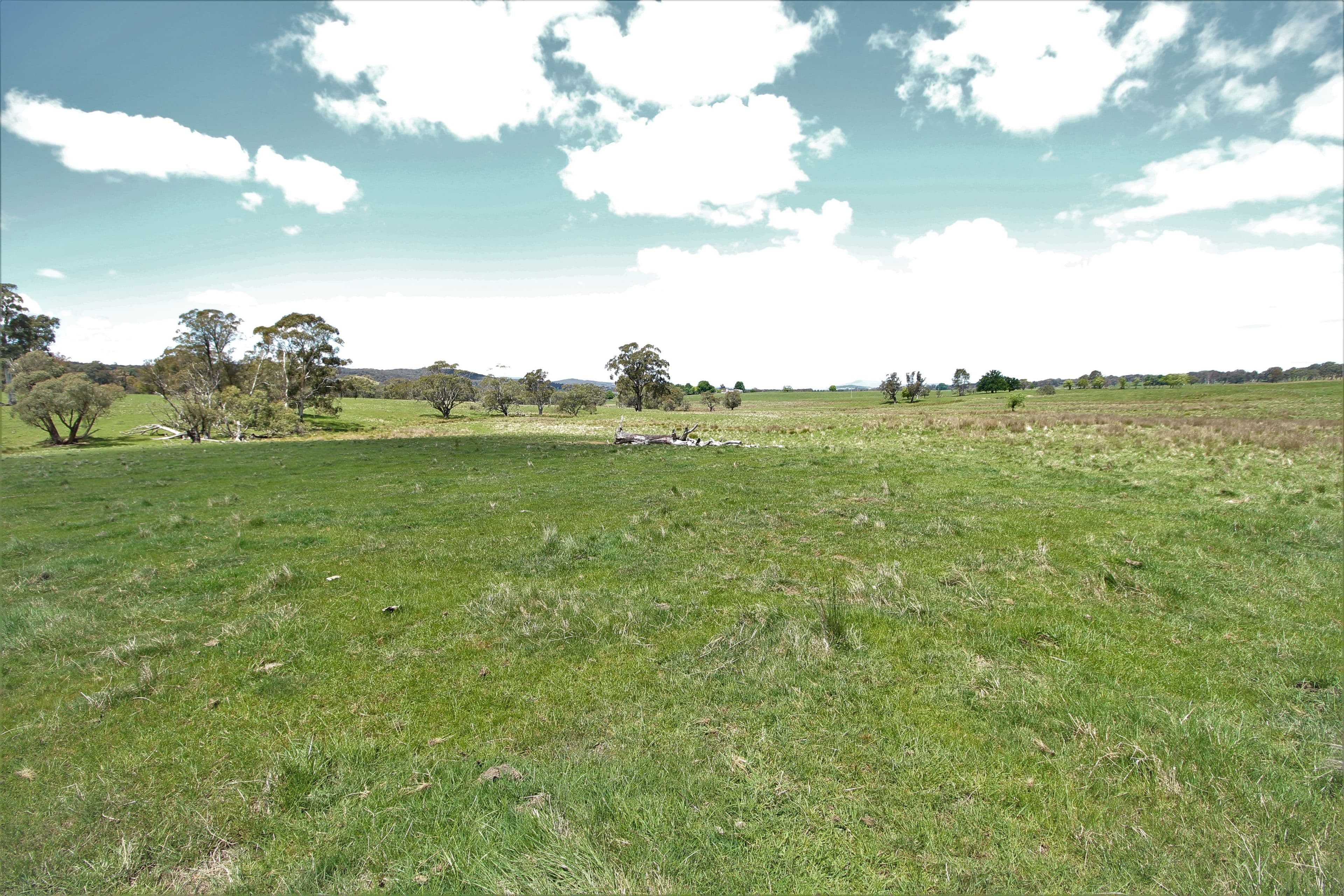 185 Old Taradale Road, Rosewood NSW 2652, Rosewood - Thumbnail 8